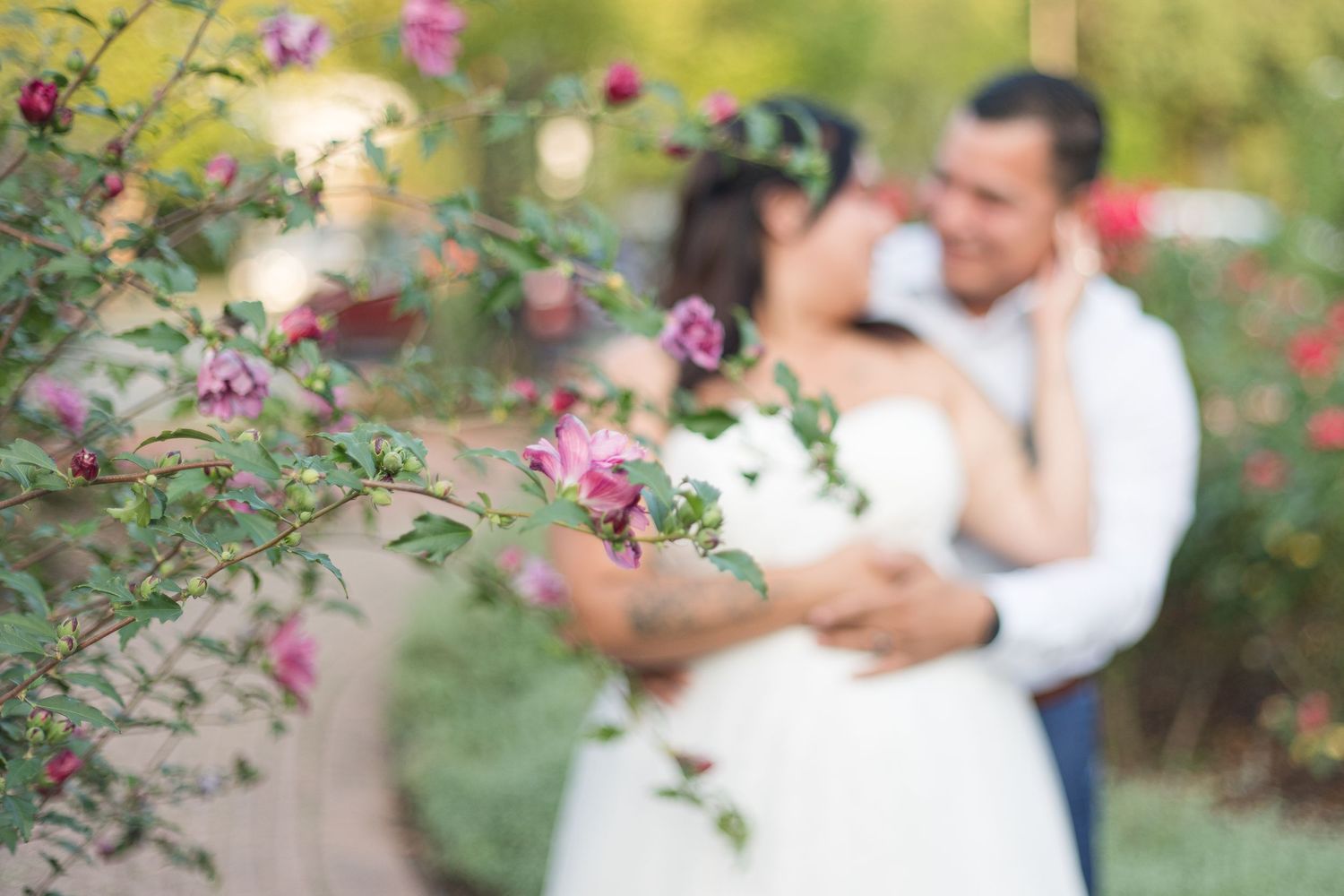 Sarah Bailey Photography DC and Northern Virginia and Southern Maryland Photographer