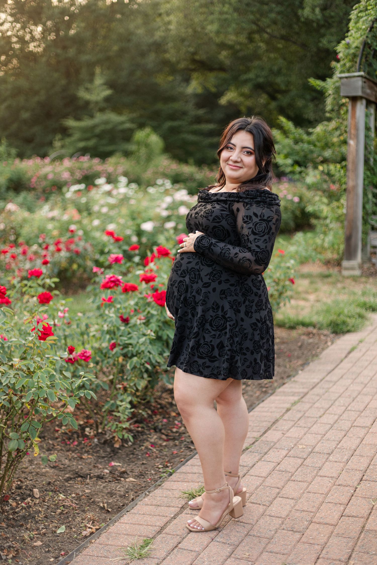 Sarah Bailey Photography DC and Northern Virginia and Southern Maryland Photographer