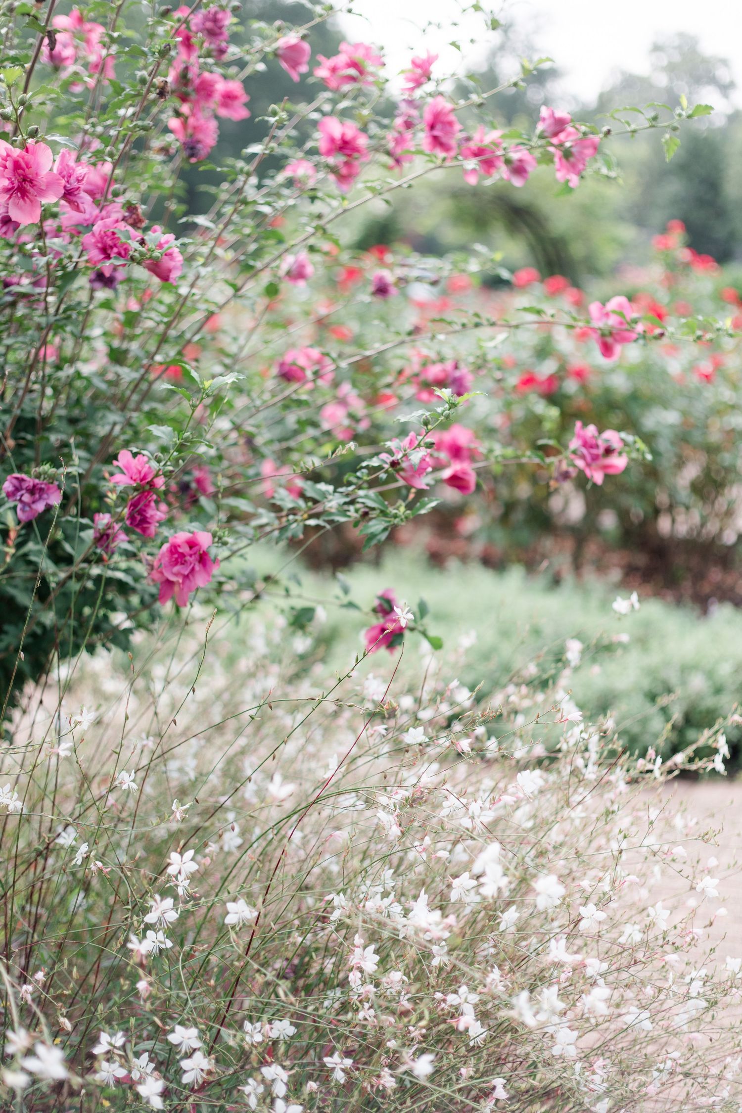 Sarah Bailey Photography DC and Northern Virginia and Southern Maryland Photographer