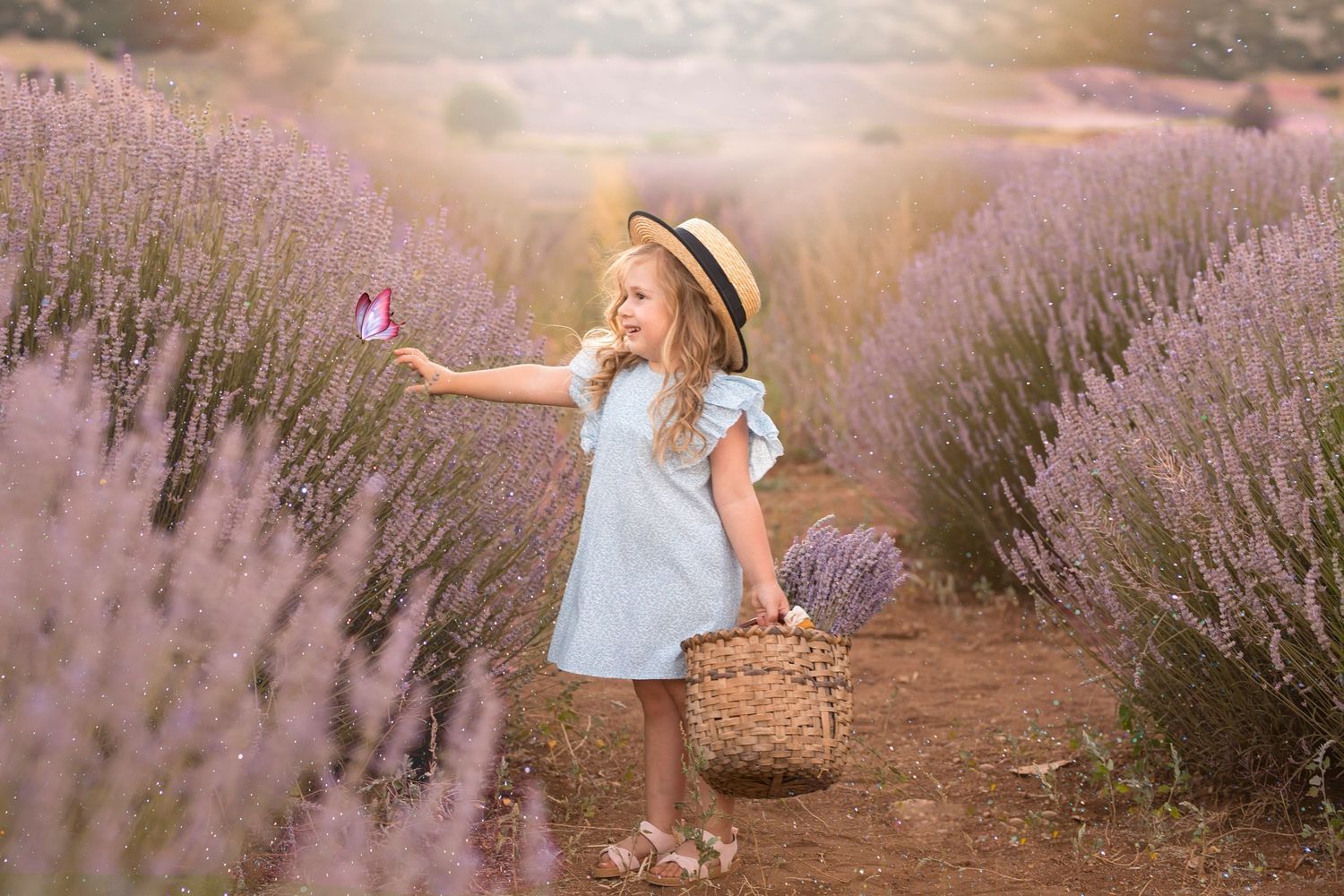 Joyful summer scene of someone in a blue dress picking lavender with a woven basket. Dubai Photographer