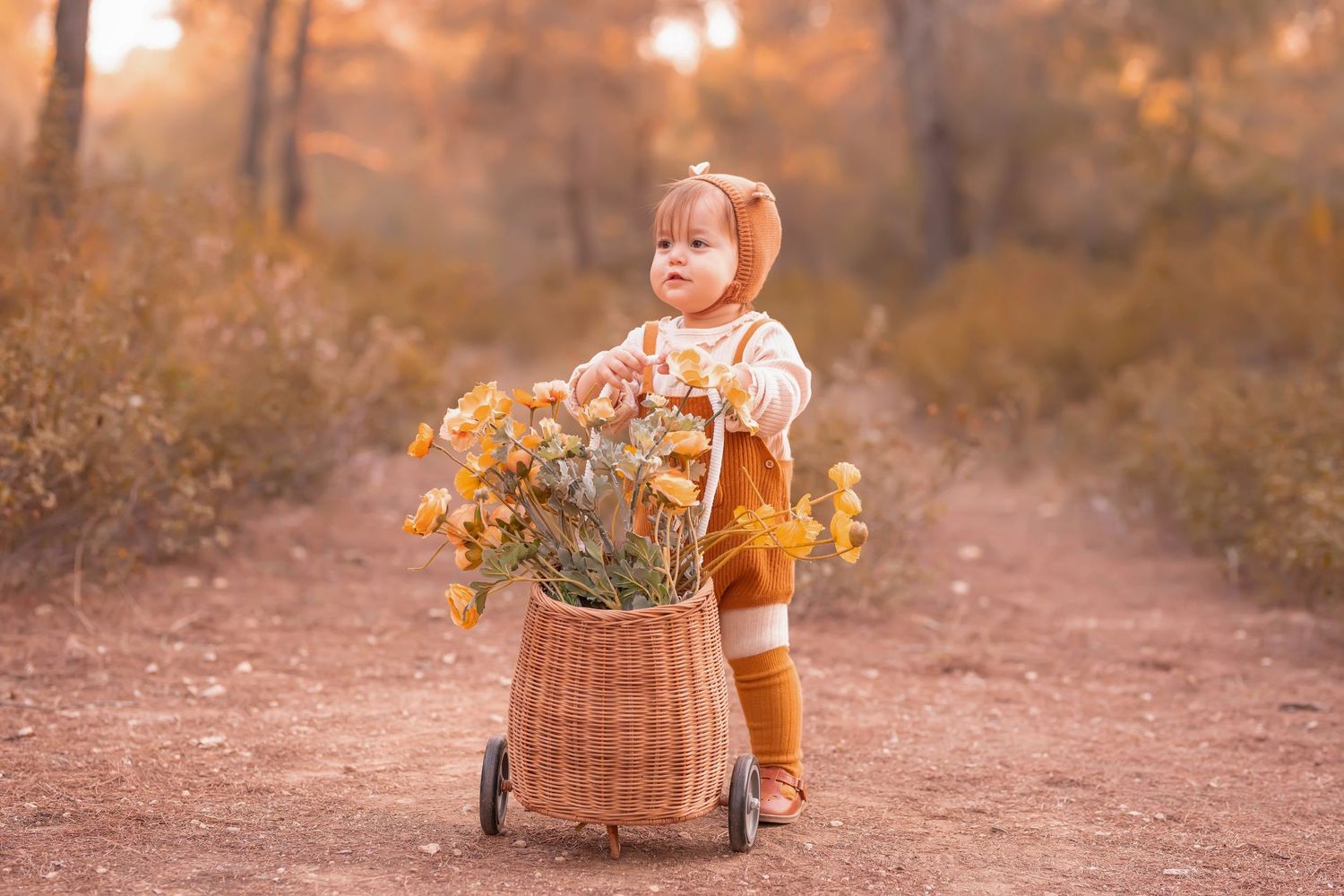 Child in autumn attire pulling wicker basket full of flowers along forest path. Dubai Photographer