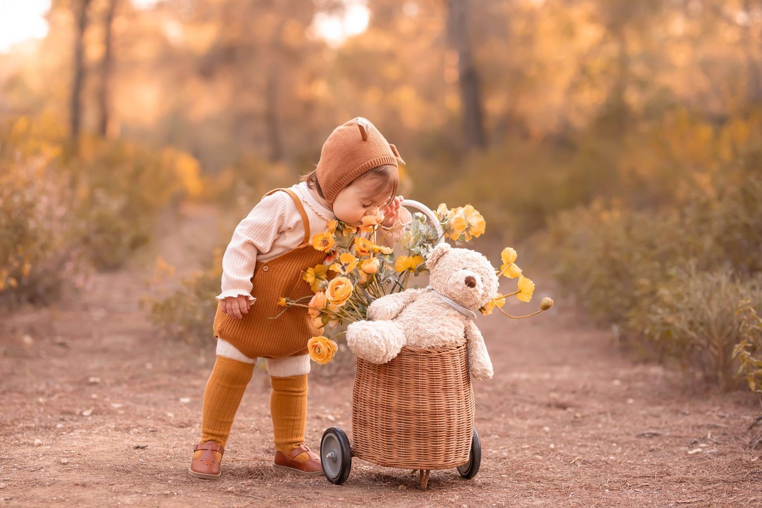 A figure in brown overalls pushes a woven basket cart filled with flowers and a teddy bear on a forest path. Dubai Photographer