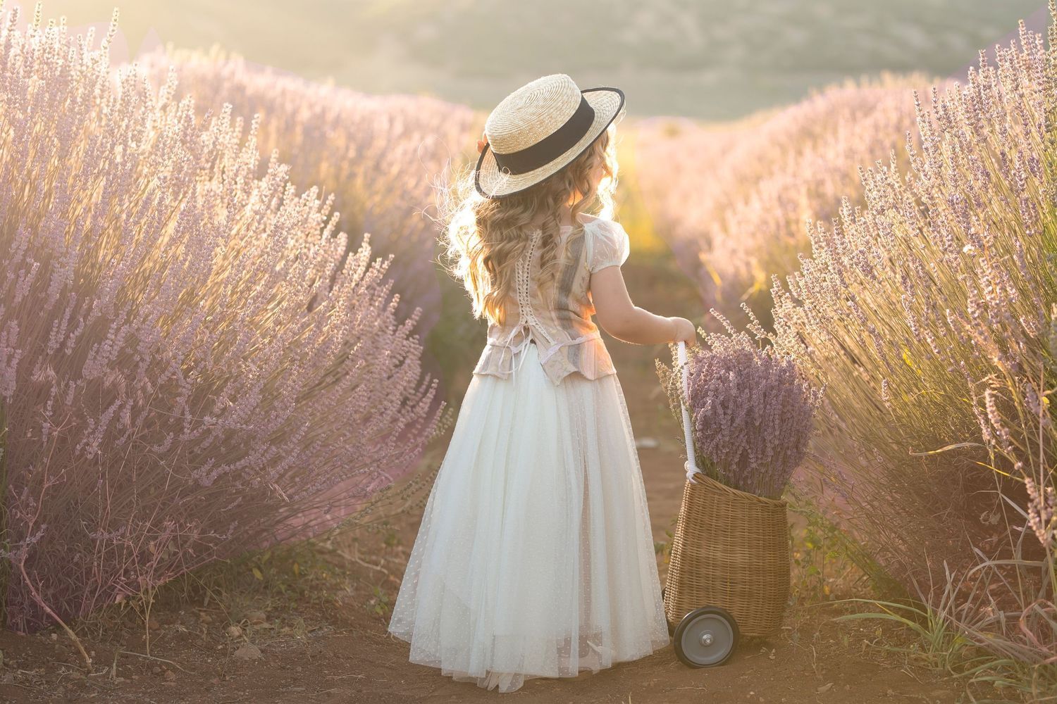 Romantic scene in a lavender field with someone in a white dress and straw hat standing near vintage luggage. Dubai Photographer