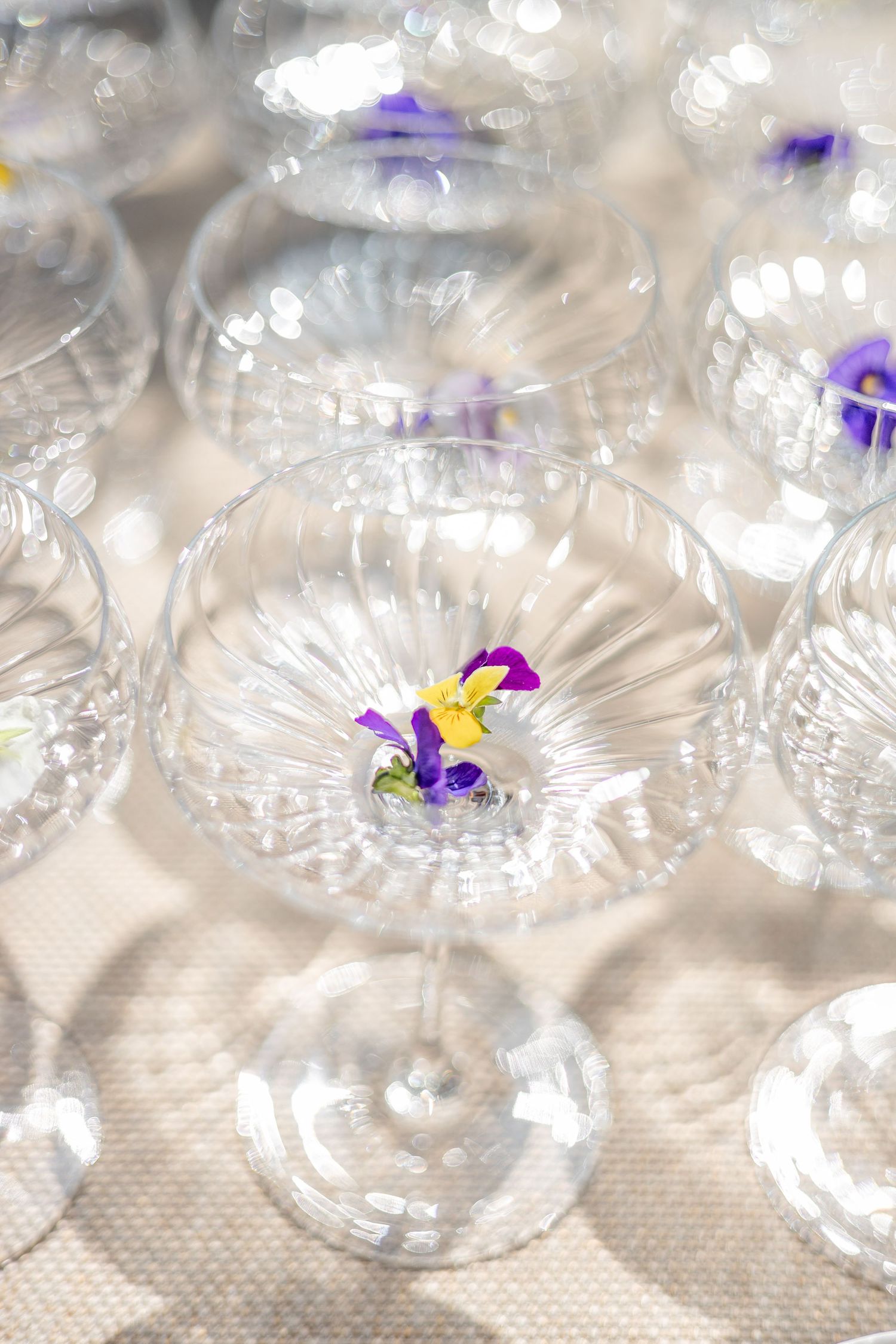 Crystal coupe glasses decorated with delicate purple flower petals on white tablecloth.