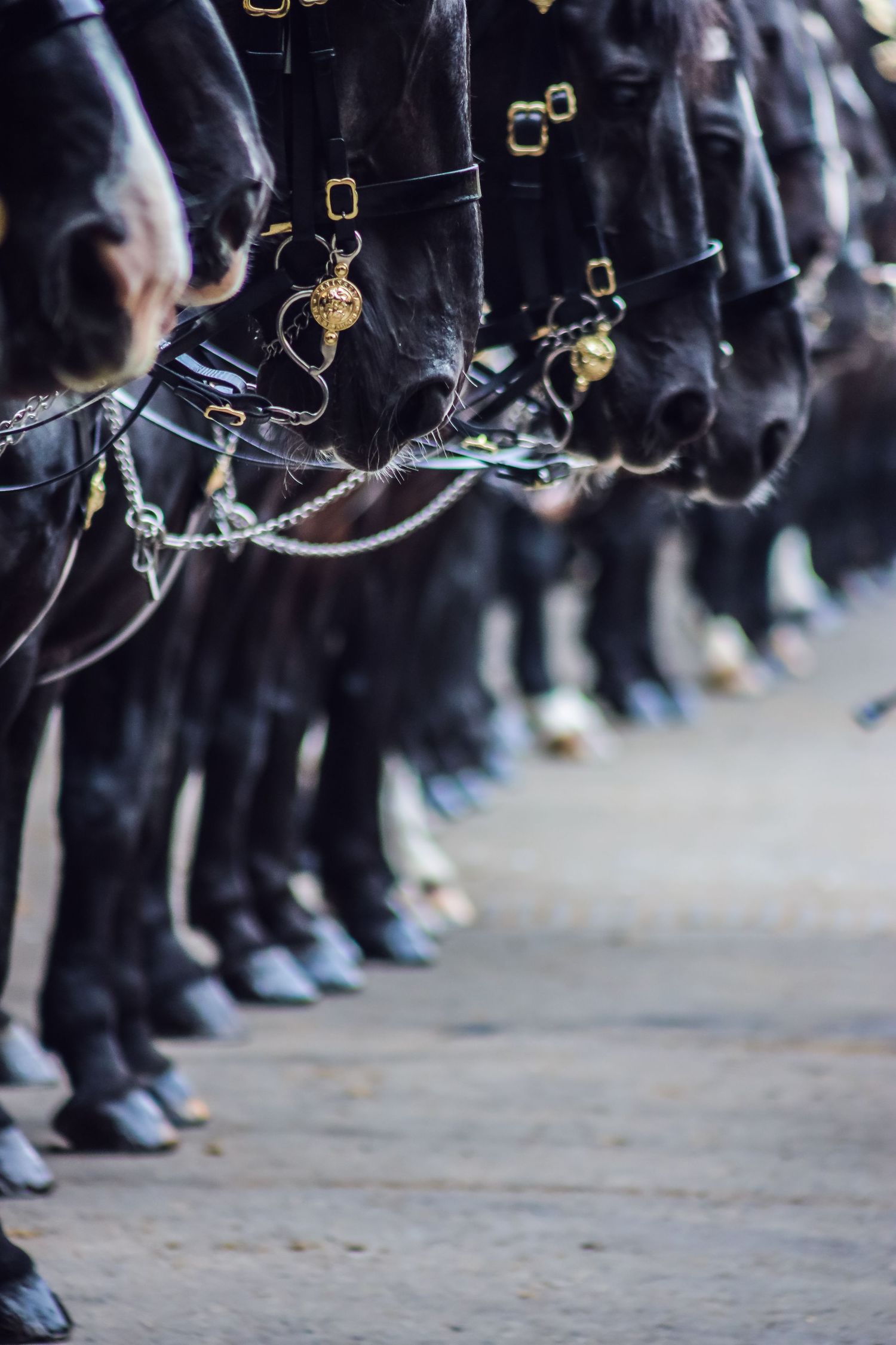 Military personnel stand in formation with polished boots and ceremonial attire visible at ground level.
