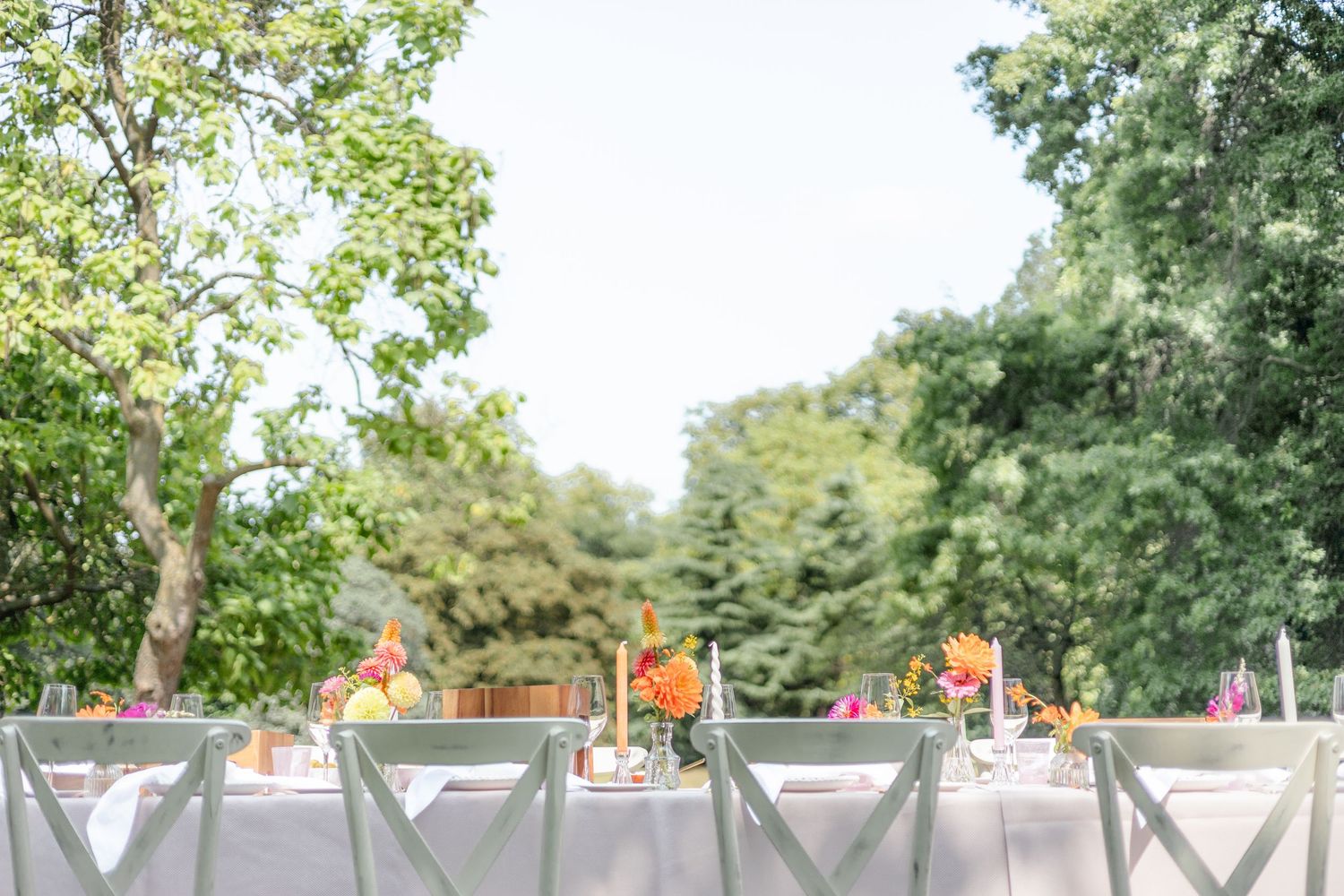 Outdoor party venue with white chairs and decorative elements under tree canopy.