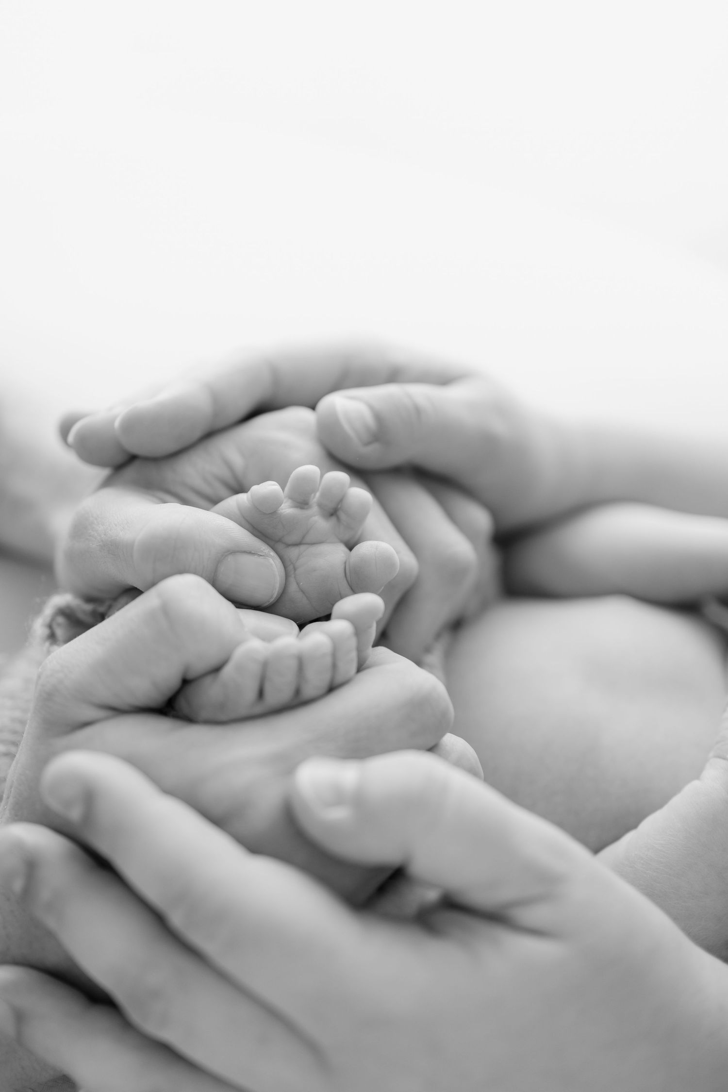 Close-up black and white photo of tiny newborn feet being held in adult hands.