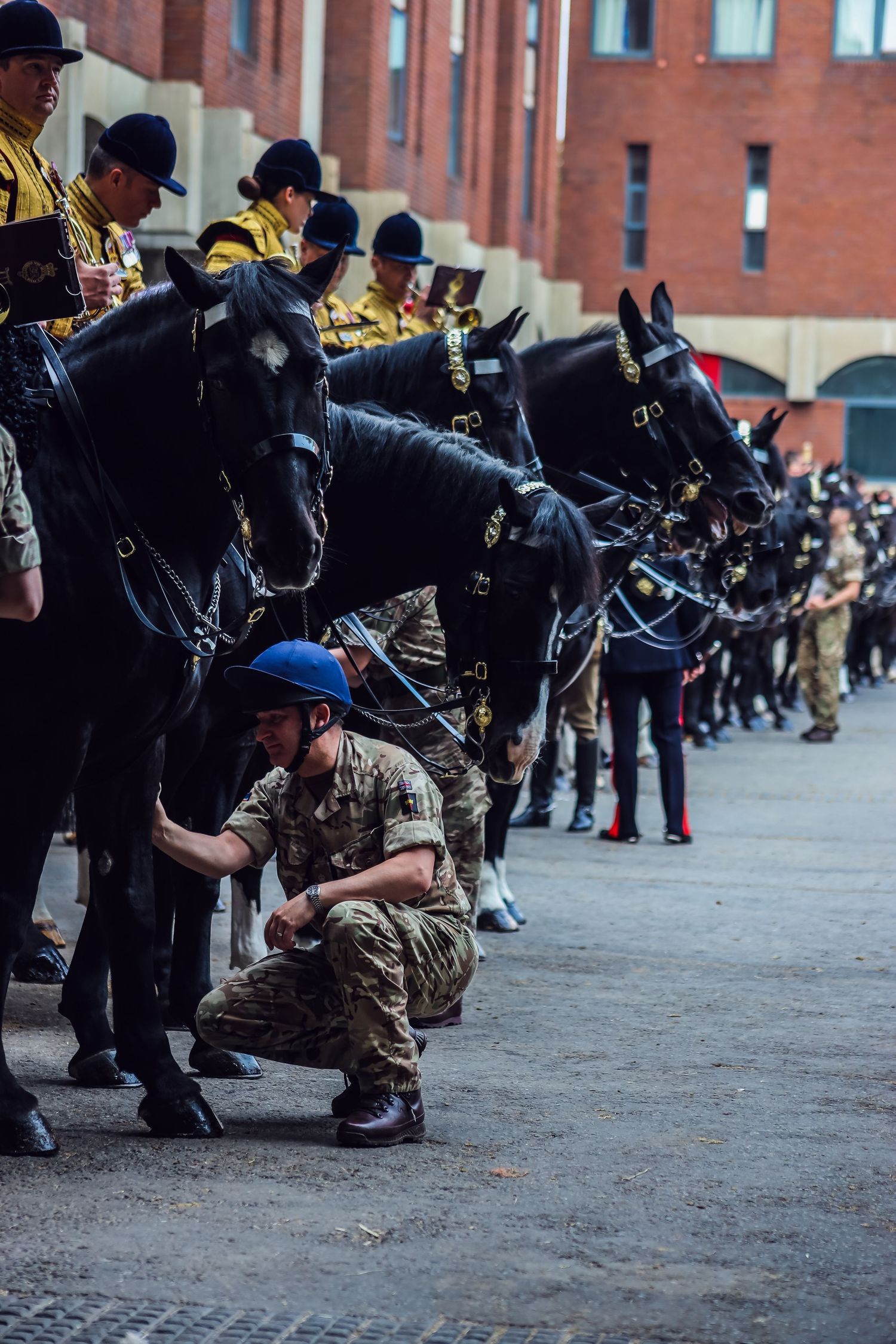 Military ceremonial horses and riders lined up in formation on parade ground.