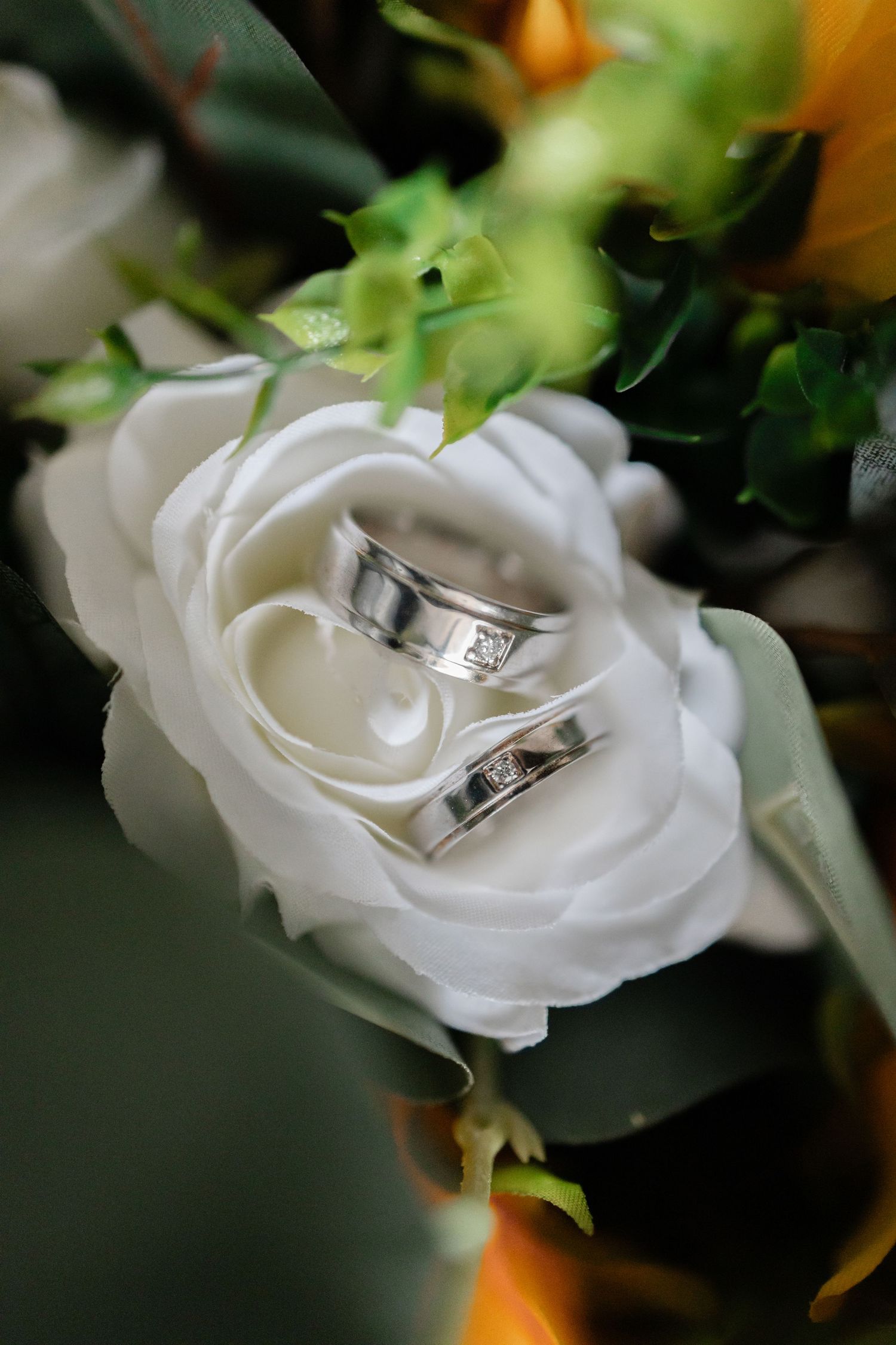 Wedding rings nestled in white rose petals with artistic macro photography.
