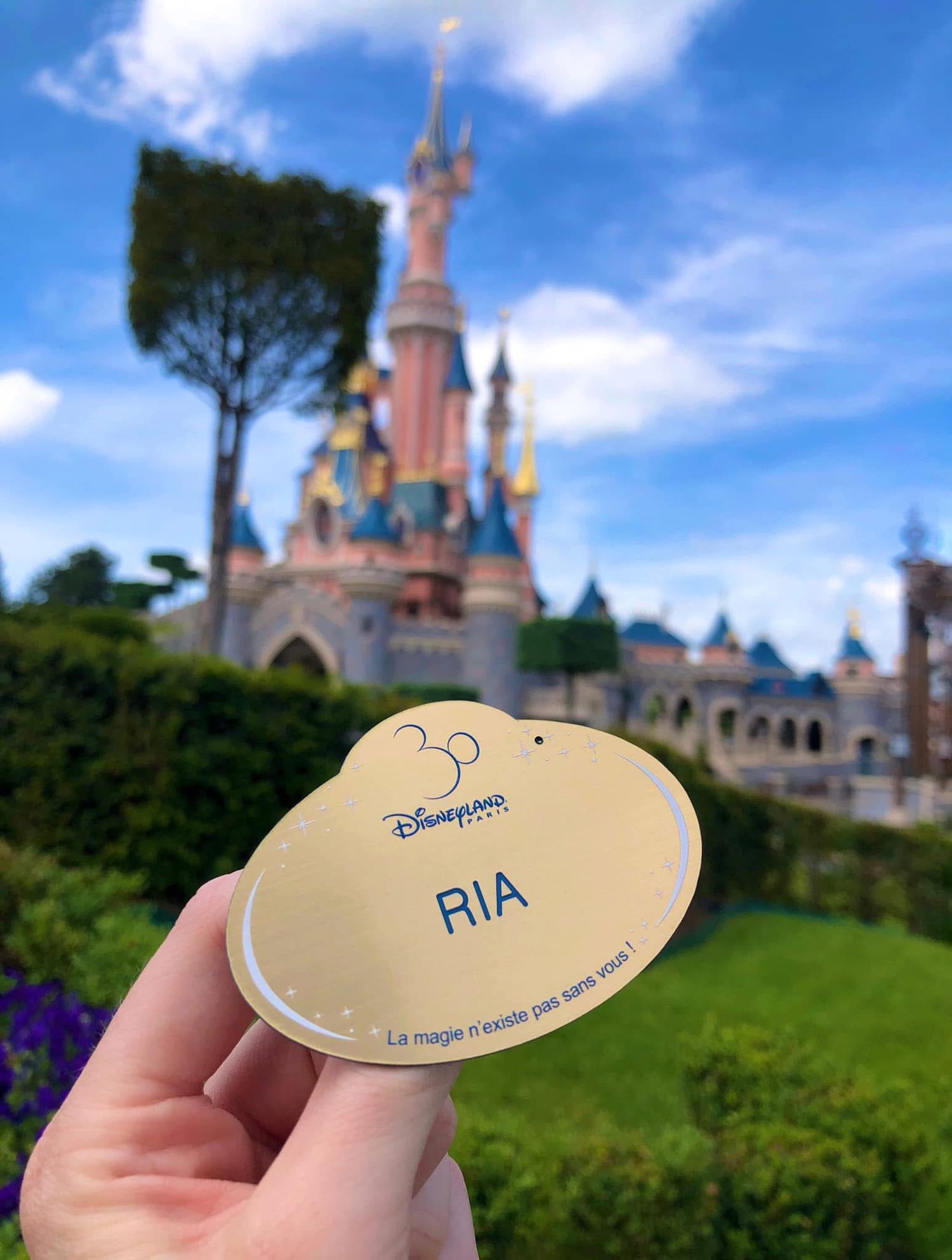 Disney castle rises majestically against blue sky with a name tag in the foreground.