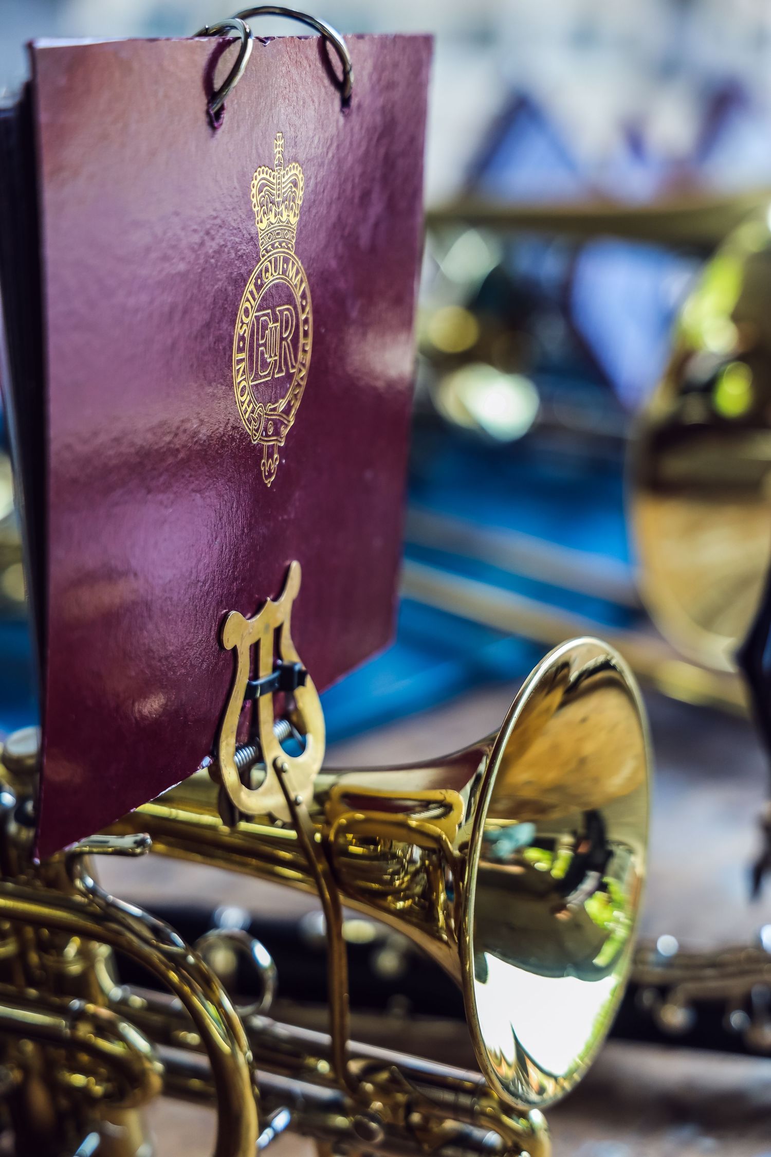 Purple passport holders with gold royal emblems arranged in a row.