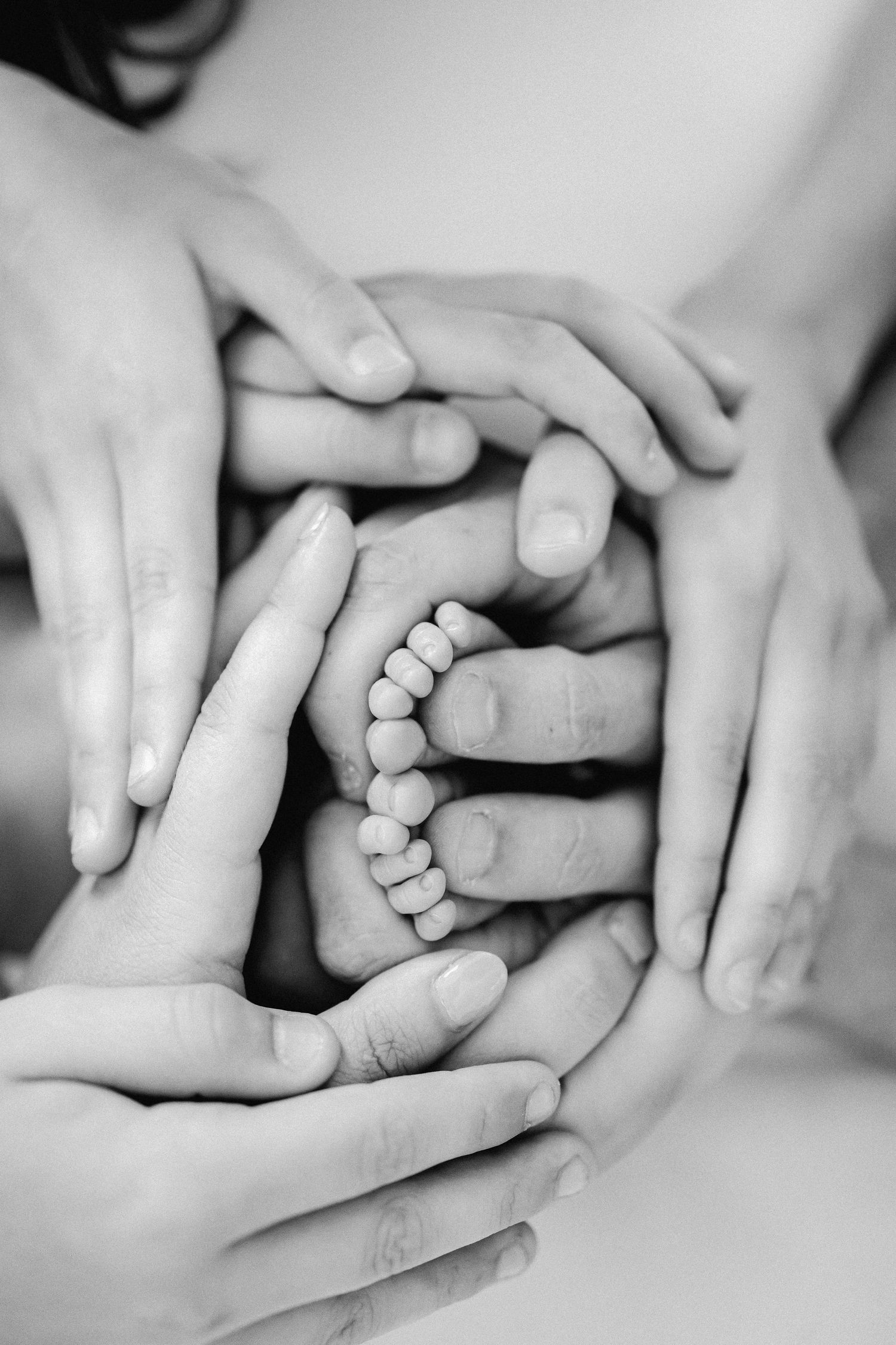 Close-up black and white images of tiny baby feet being held gently in adult hands.