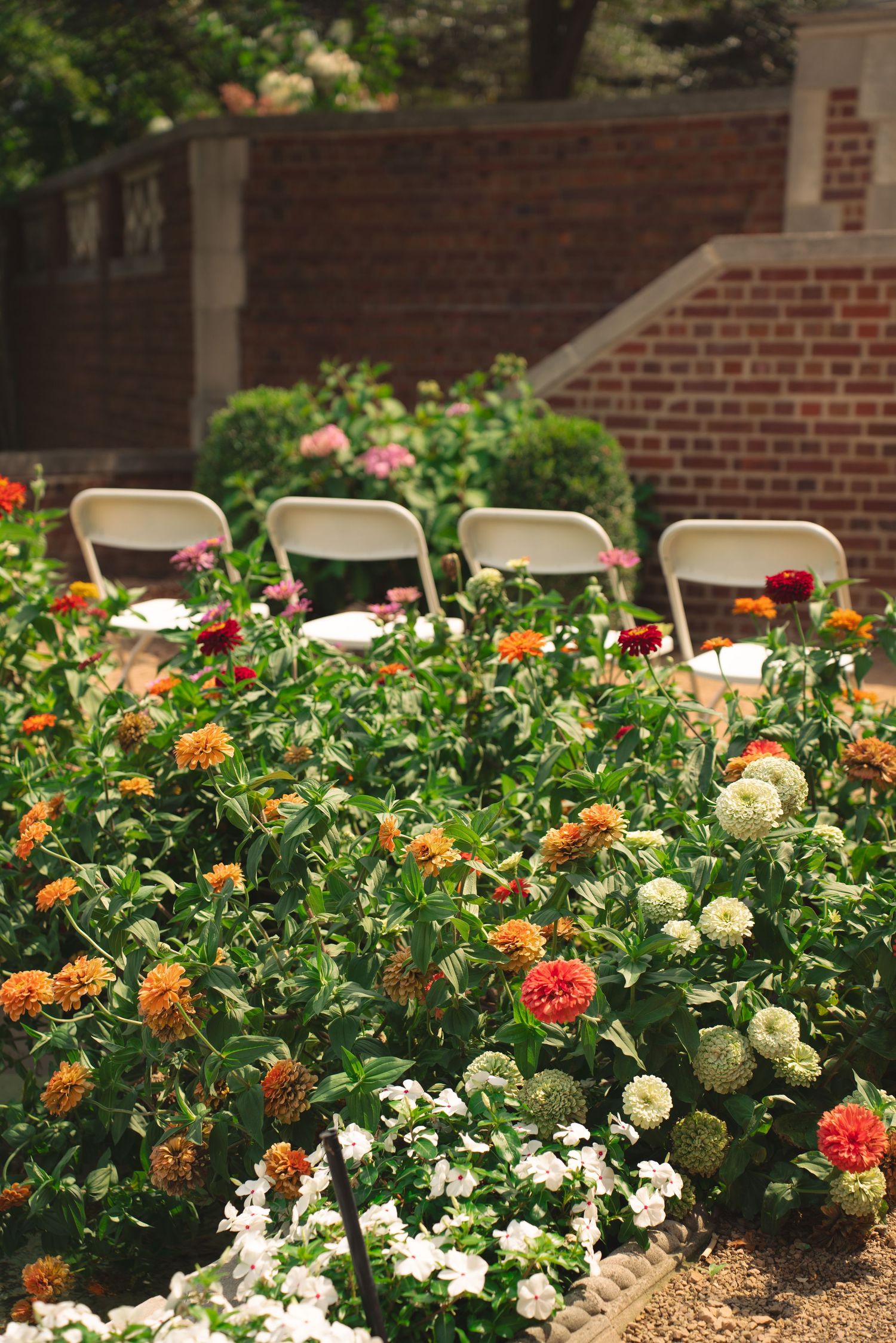 Colorful garden bed filled with orange, white and yellow flowers with folding chairs visible in the background.