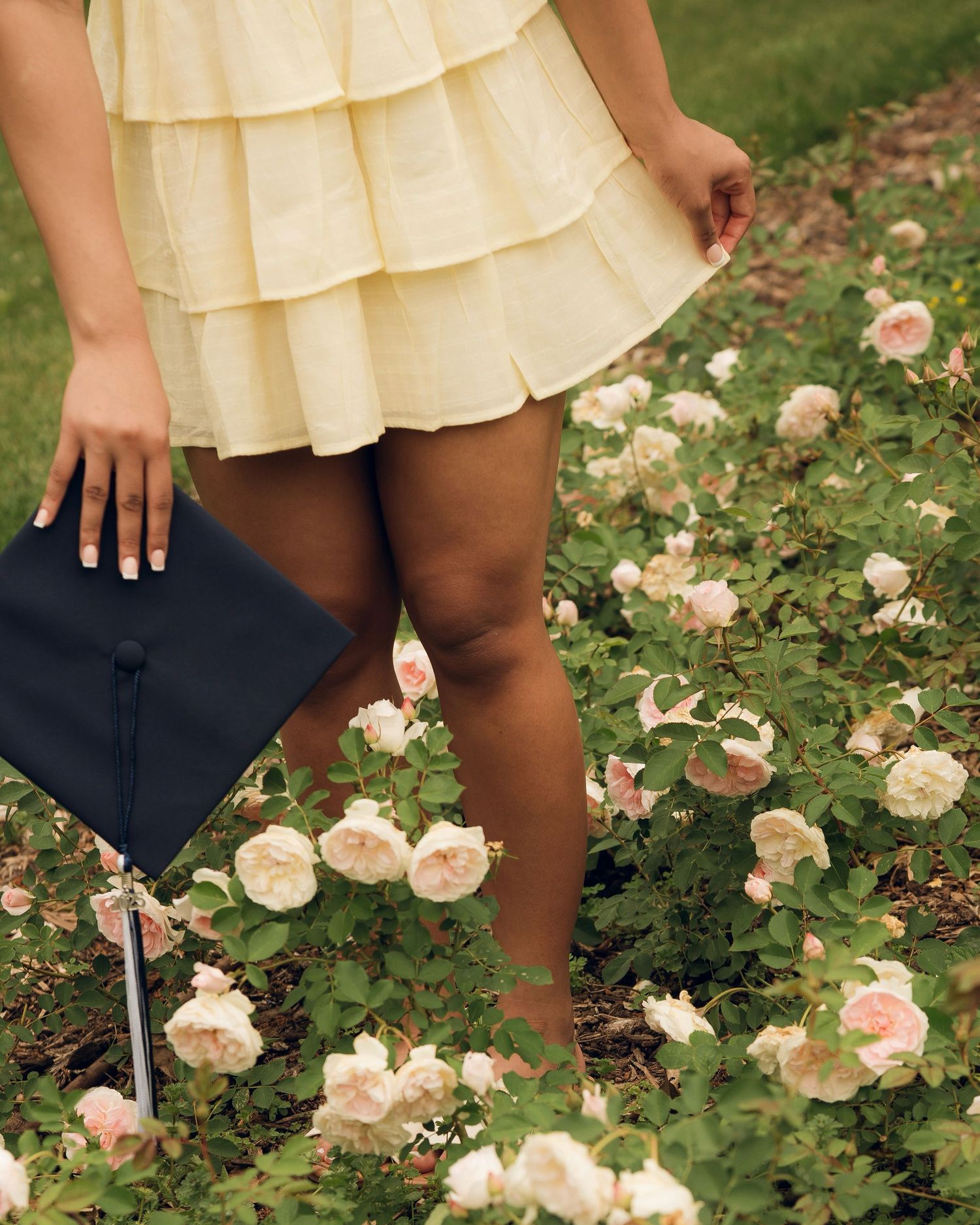 Close-up view of cream-colored roses growing in a garden with someone reaching down to touch them.