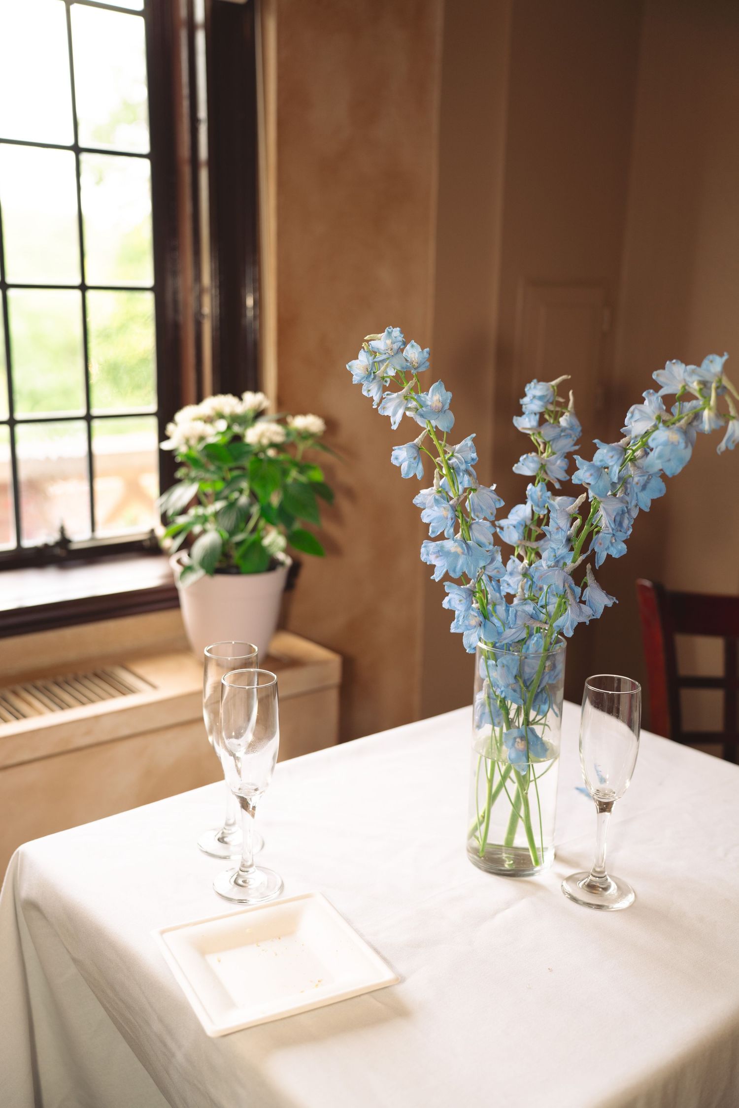Delicate blue flowers in a glass vase on white tablecloth with champagne flutes.