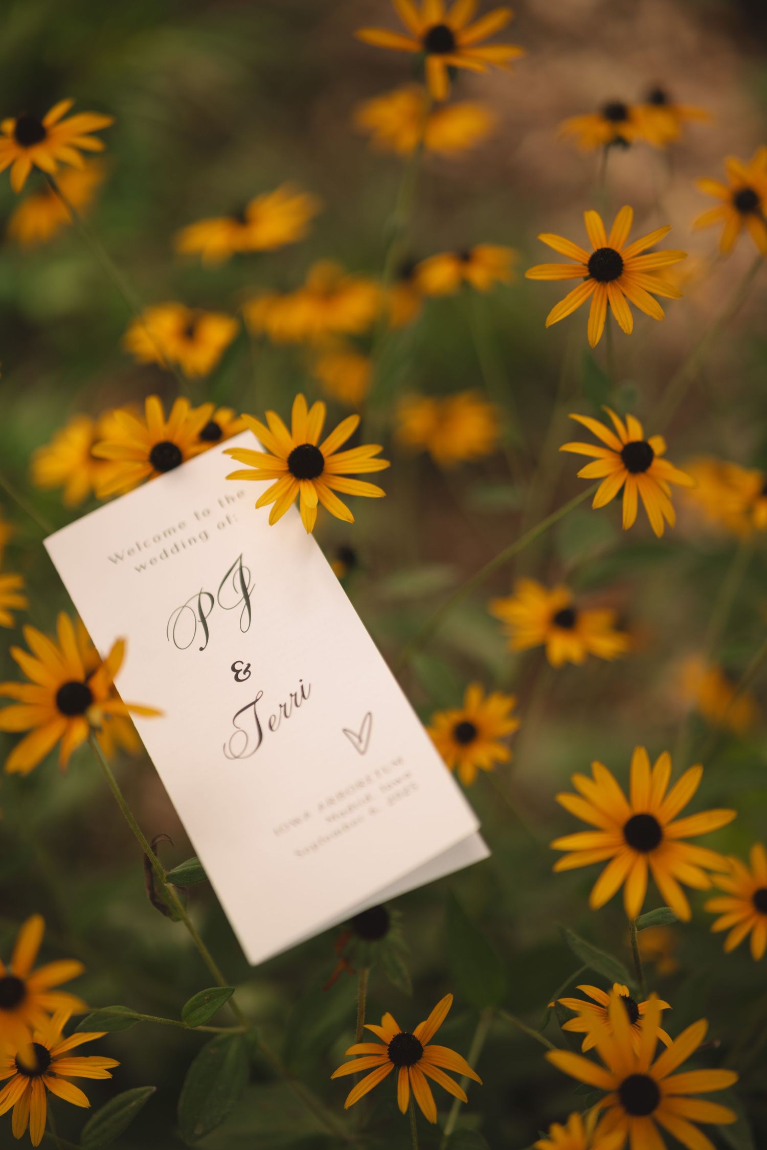 Wedding program rests among blooming black-eyed susan flowers in a garden.