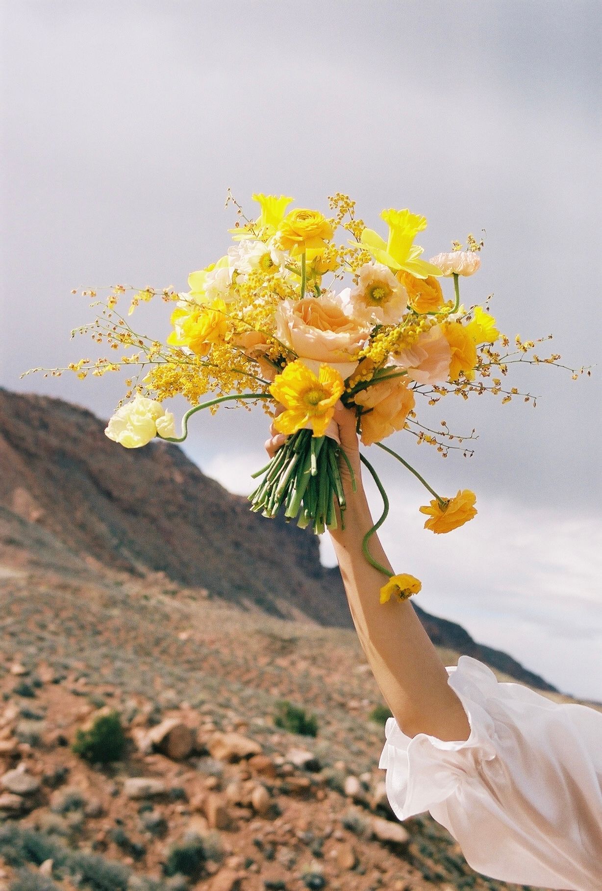 A hand holds a vibrant yellow wildflower bouquet aloft against a cloudy sky and desert landscape.