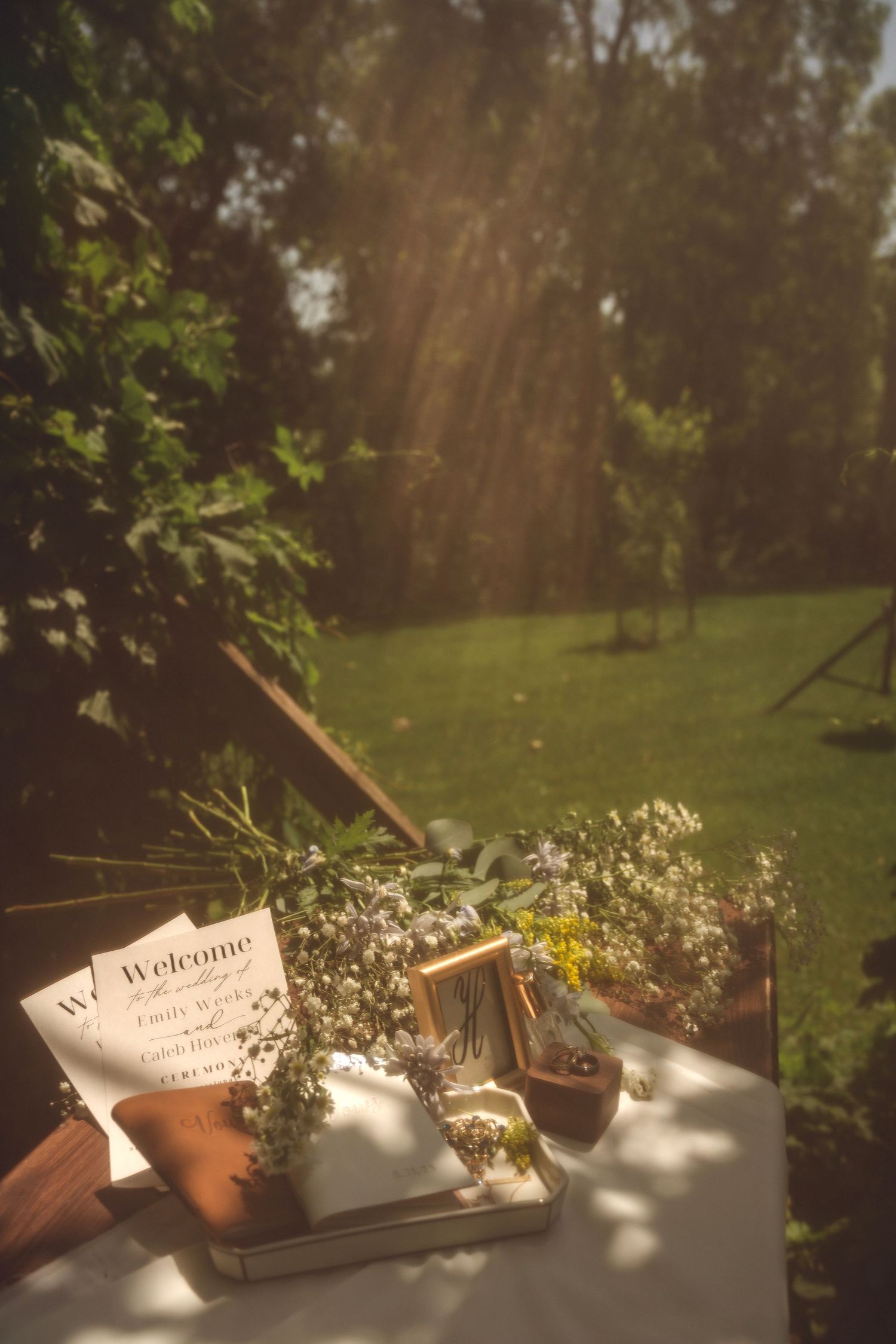 Rustic outdoor wedding welcome display with potted plants and signage in natural sunlight.