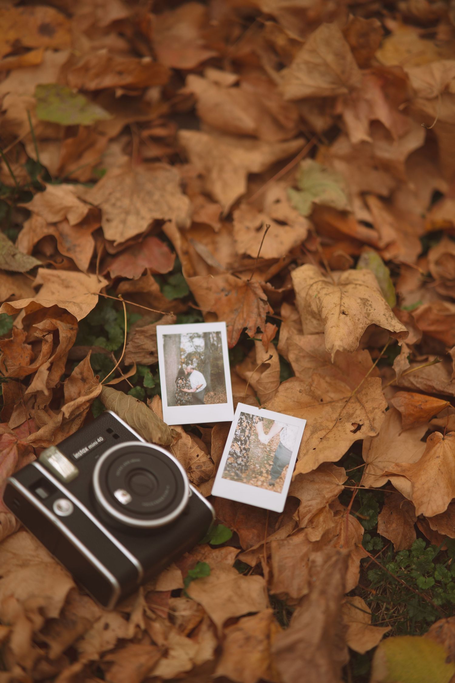 Vintage camera and polaroid photos scattered among fallen autumn leaves.