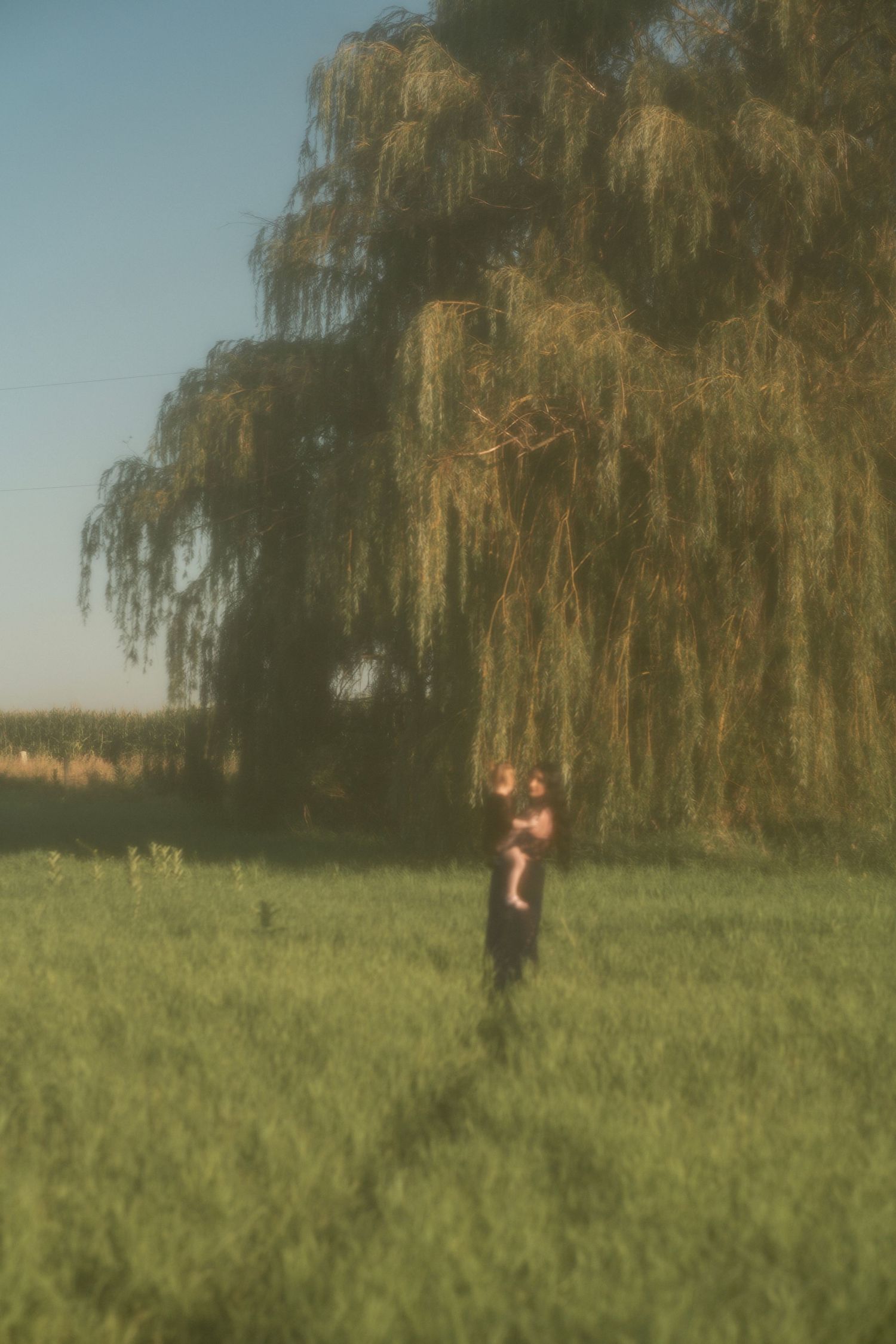Artistic sequence of figures moving through a grassy field beneath a weeping willow tree.