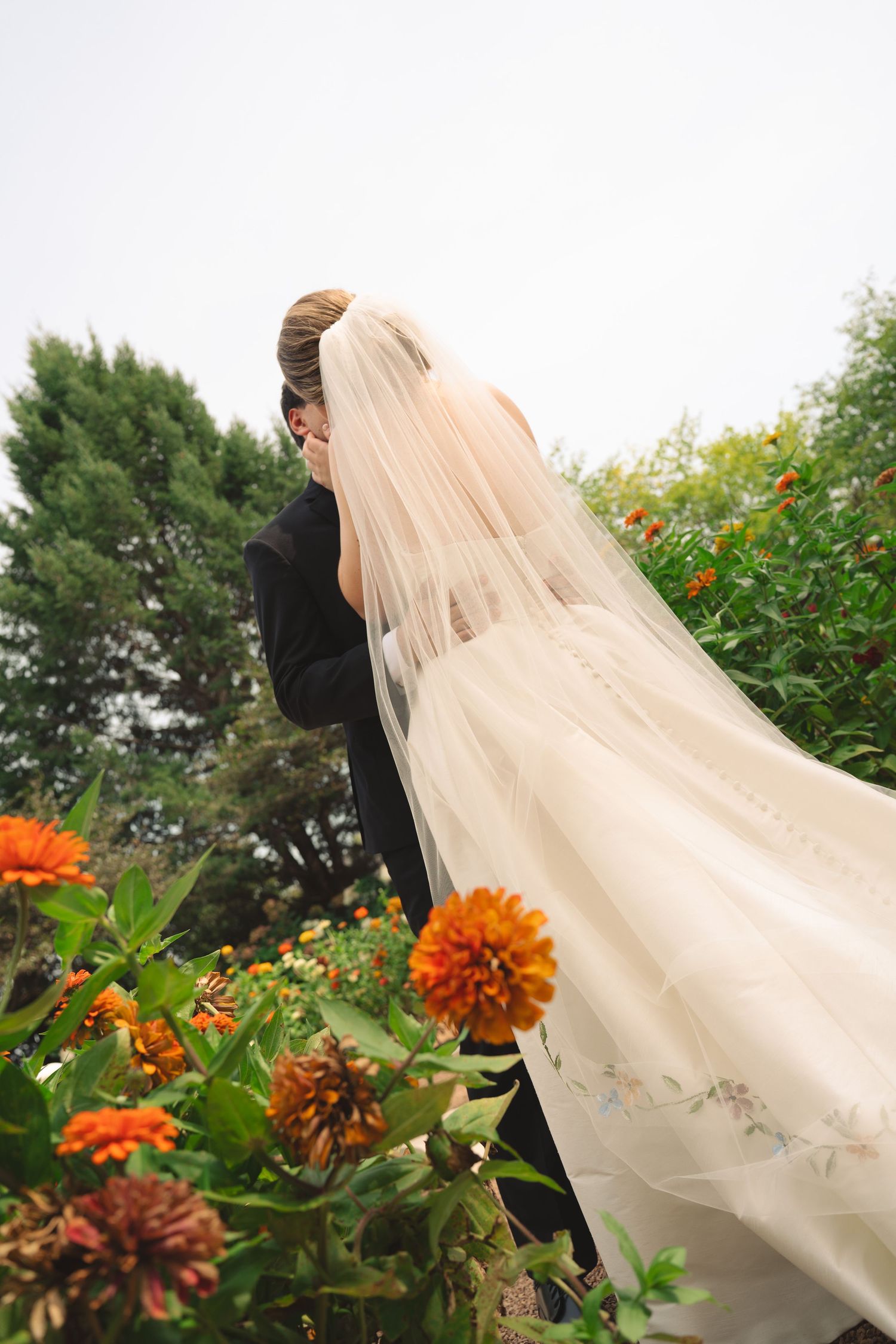 Long flowing veil catches the breeze in a garden with vibrant orange zinnias.