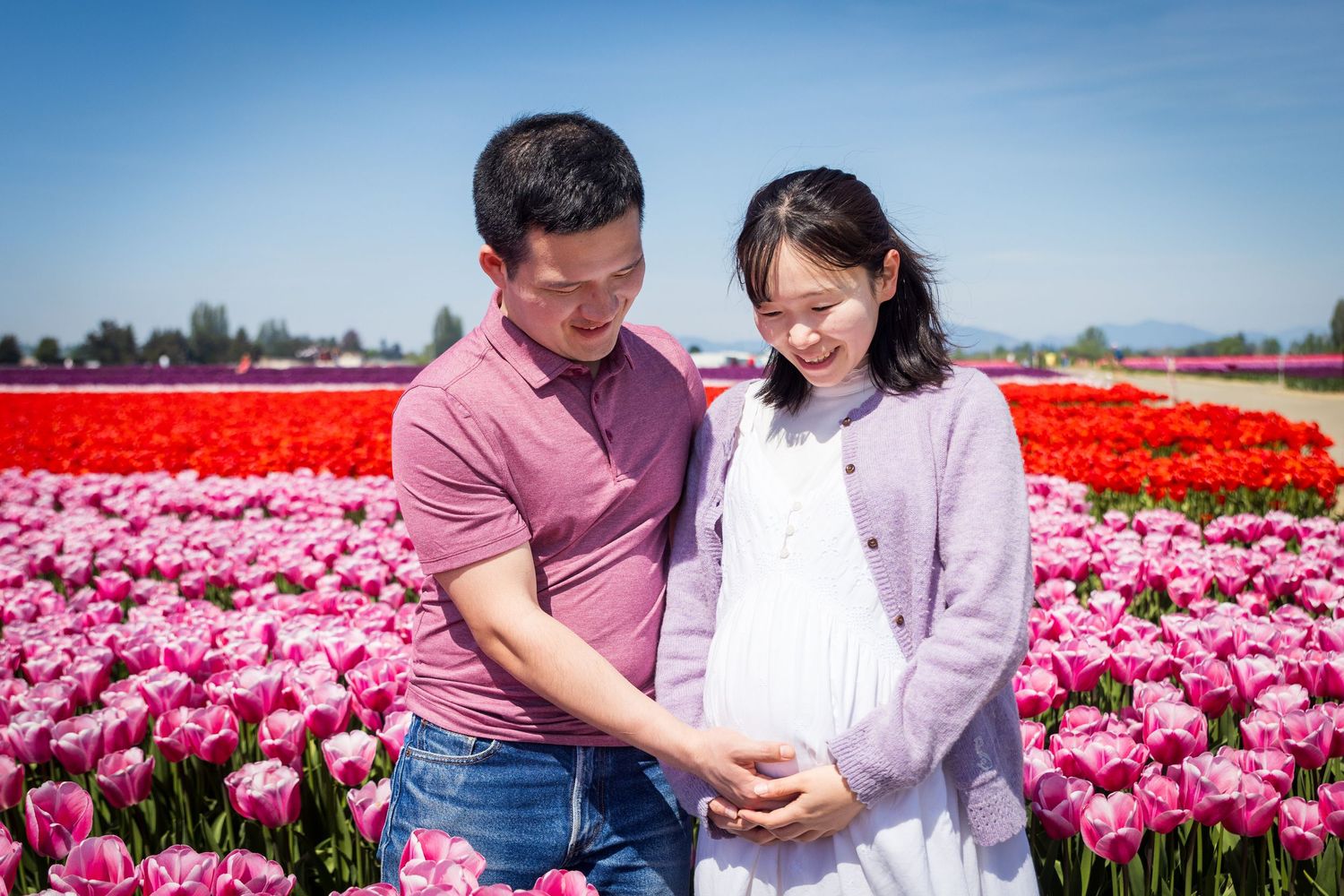 baby blooming in the tulip festival, mini shoot at tulip farm skagit valley