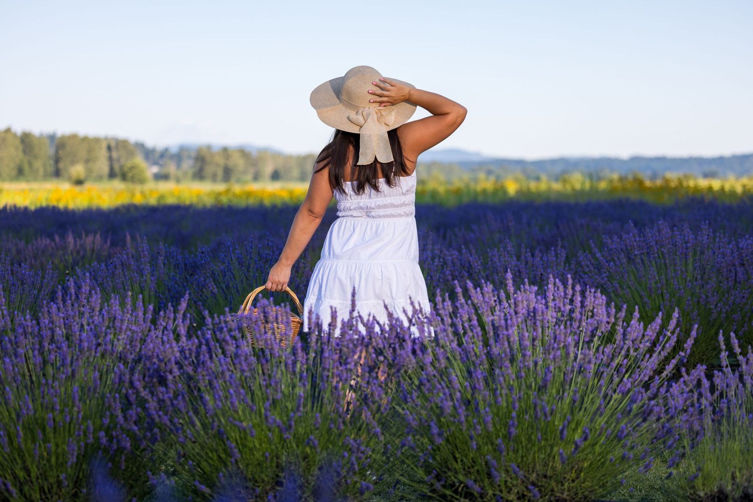 Portrait photoshoot in the lavender fields in Woodinville, part of mini seasonal packages