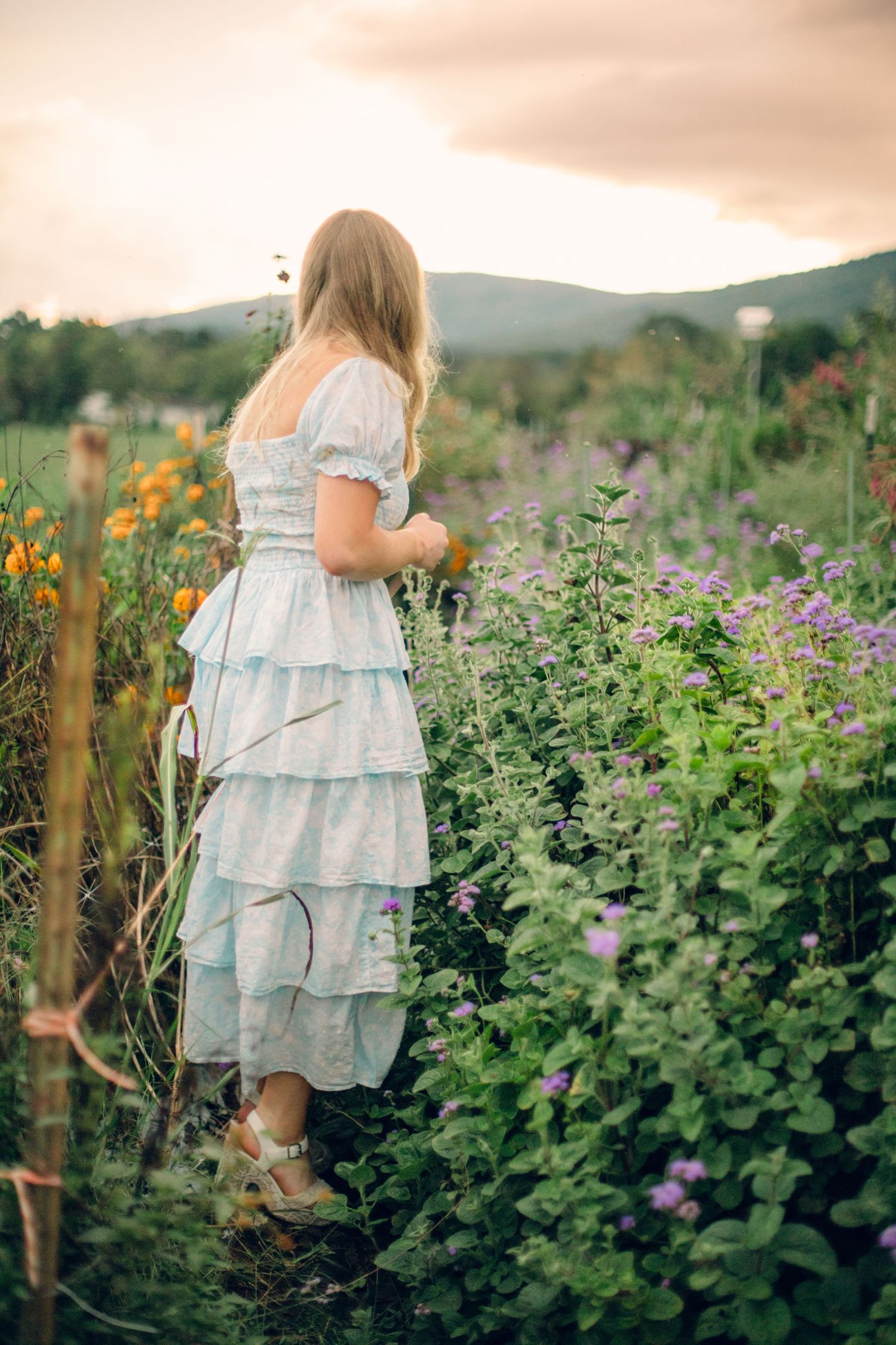 Woman in white tiered dress walking through colorful flower garden with mountains in background at sunset.