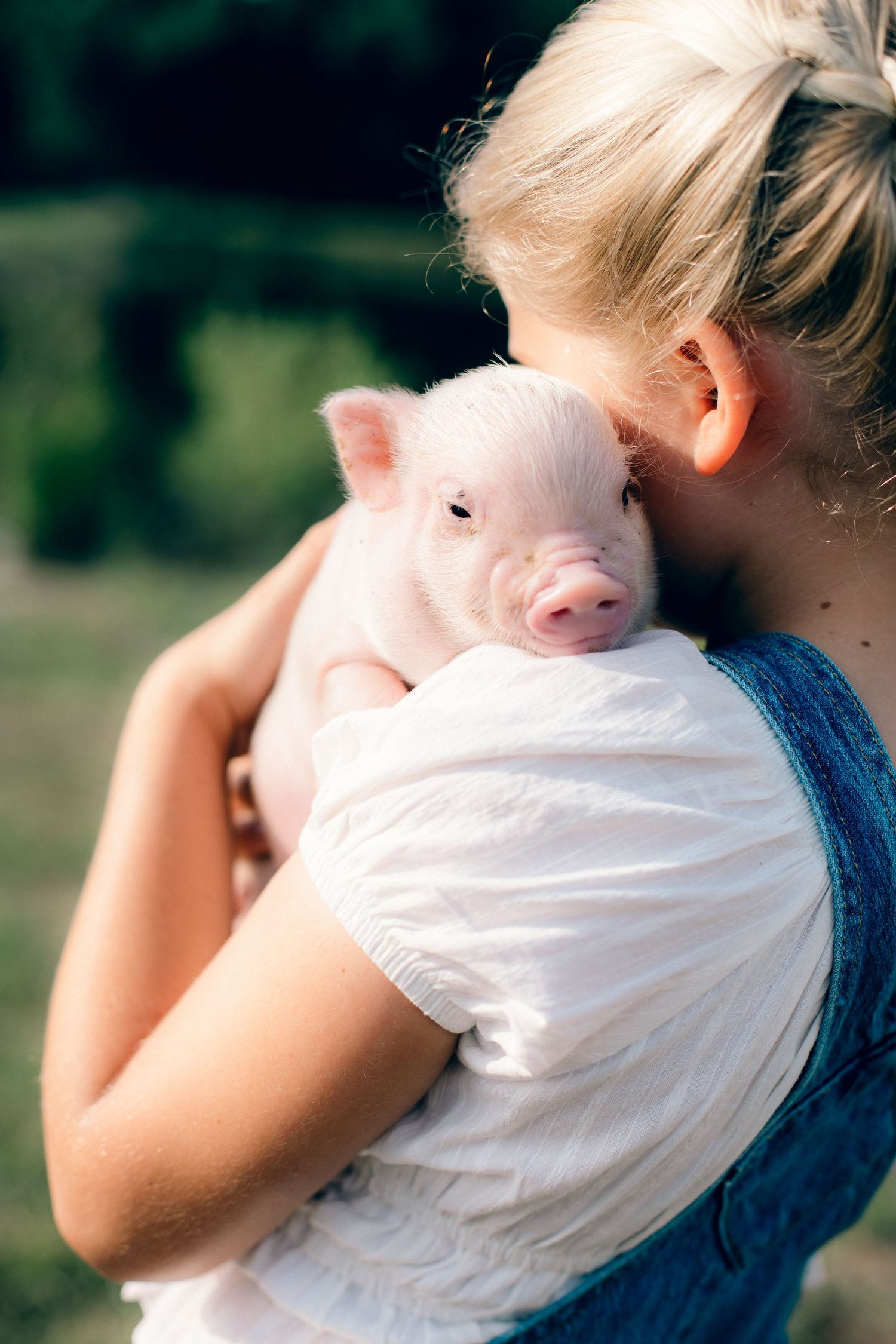 Blonde girl holding a small pink piglet close to her shoulder outdoors on a sunny day.