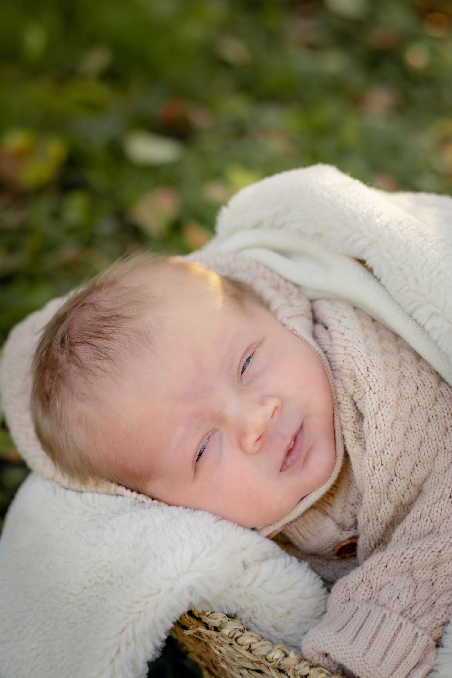 Soft white knit blanket creates cozy backdrop in natural lighting.