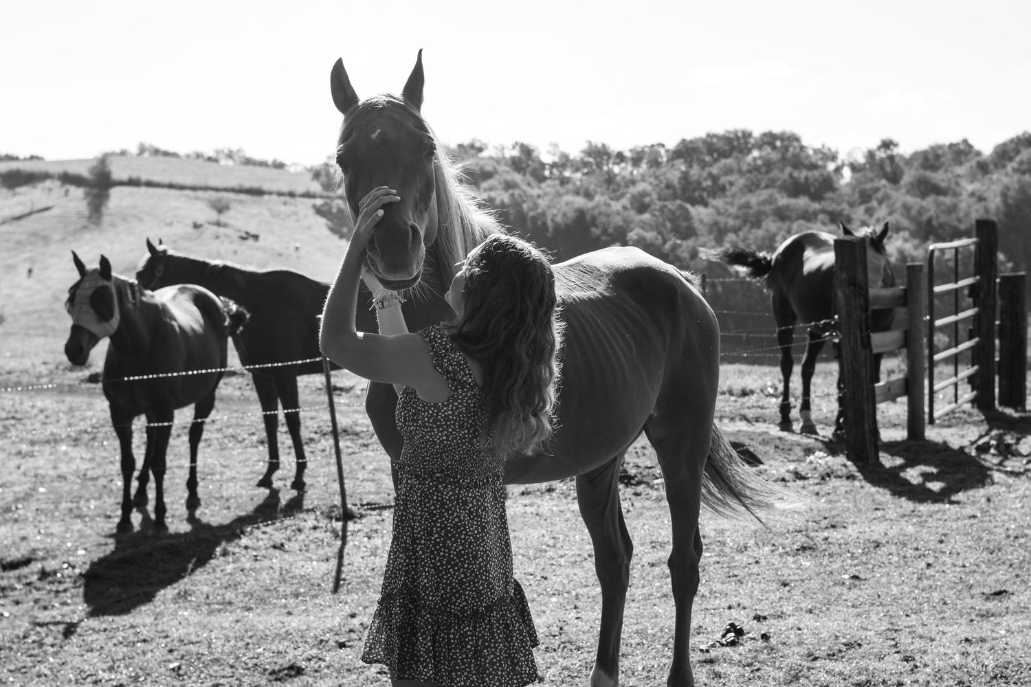 Black and white photos showing interactions with horses in a field.