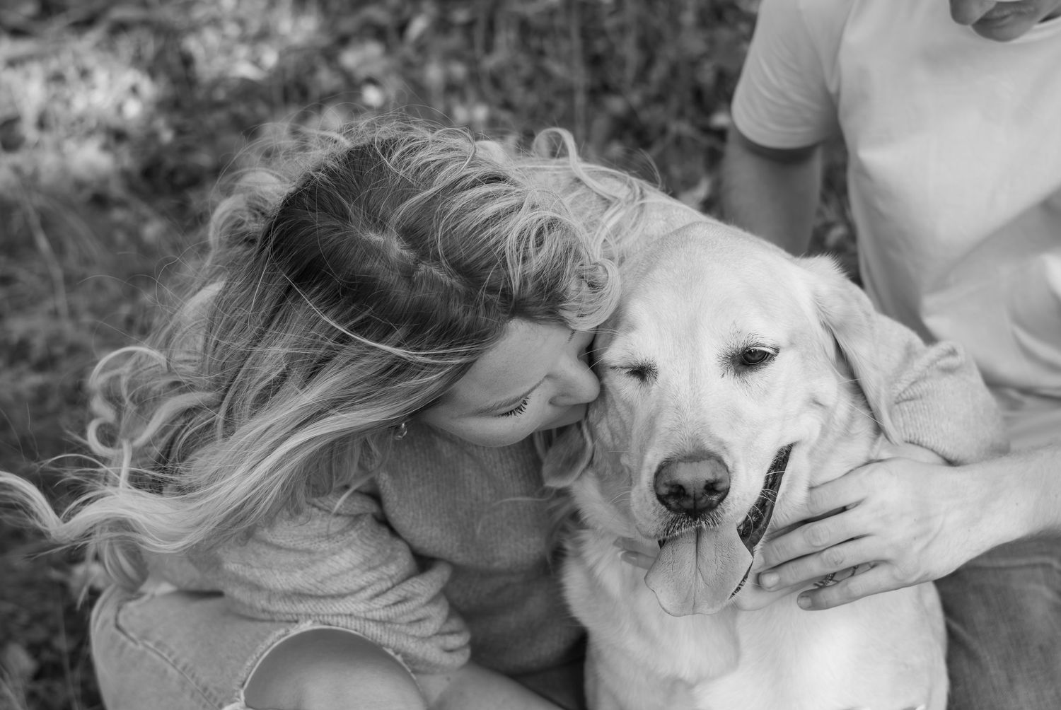 Black and white image of hands gently petting a white dog.