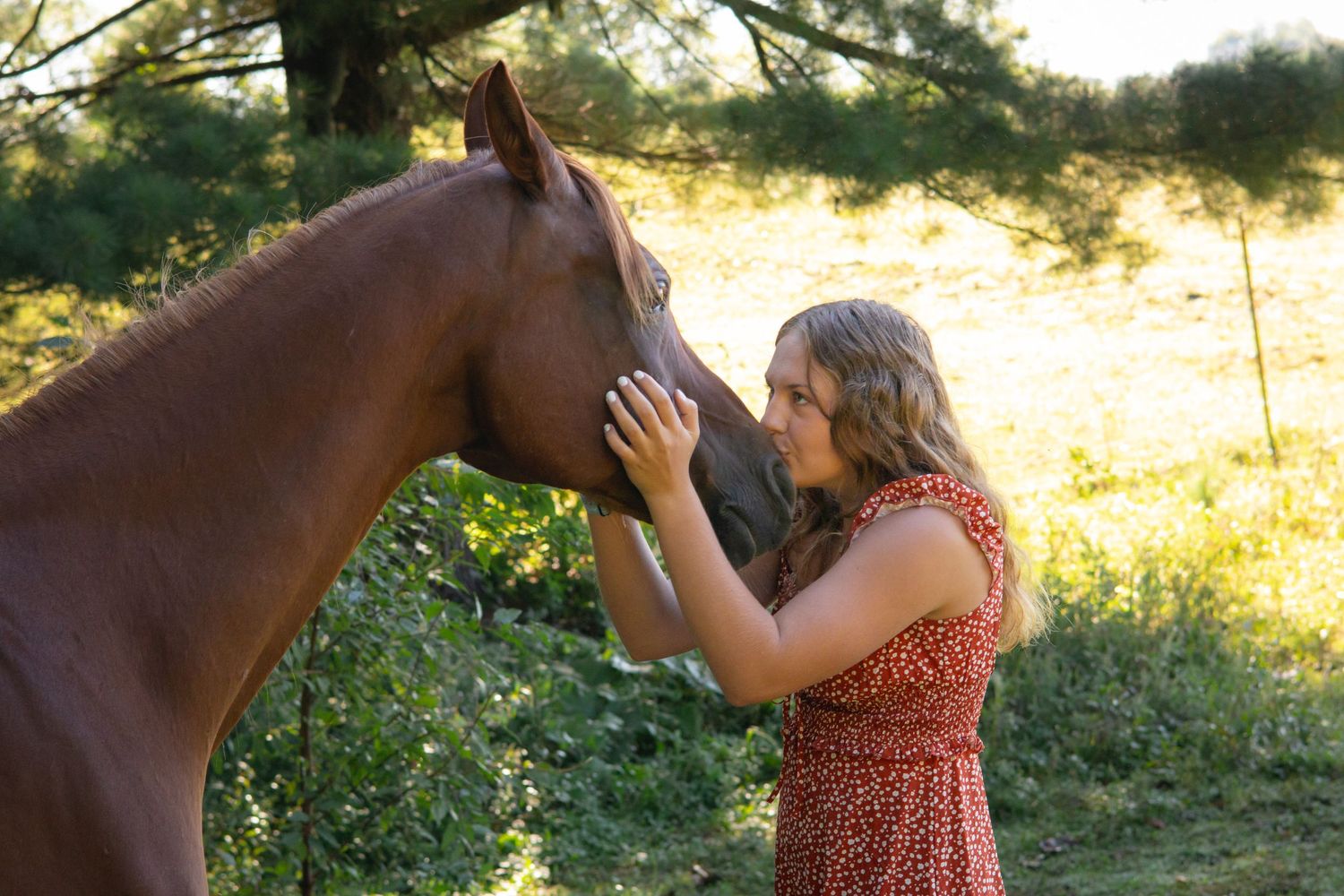 Woman in red dress bonding with brown horse in golden sunlight.
