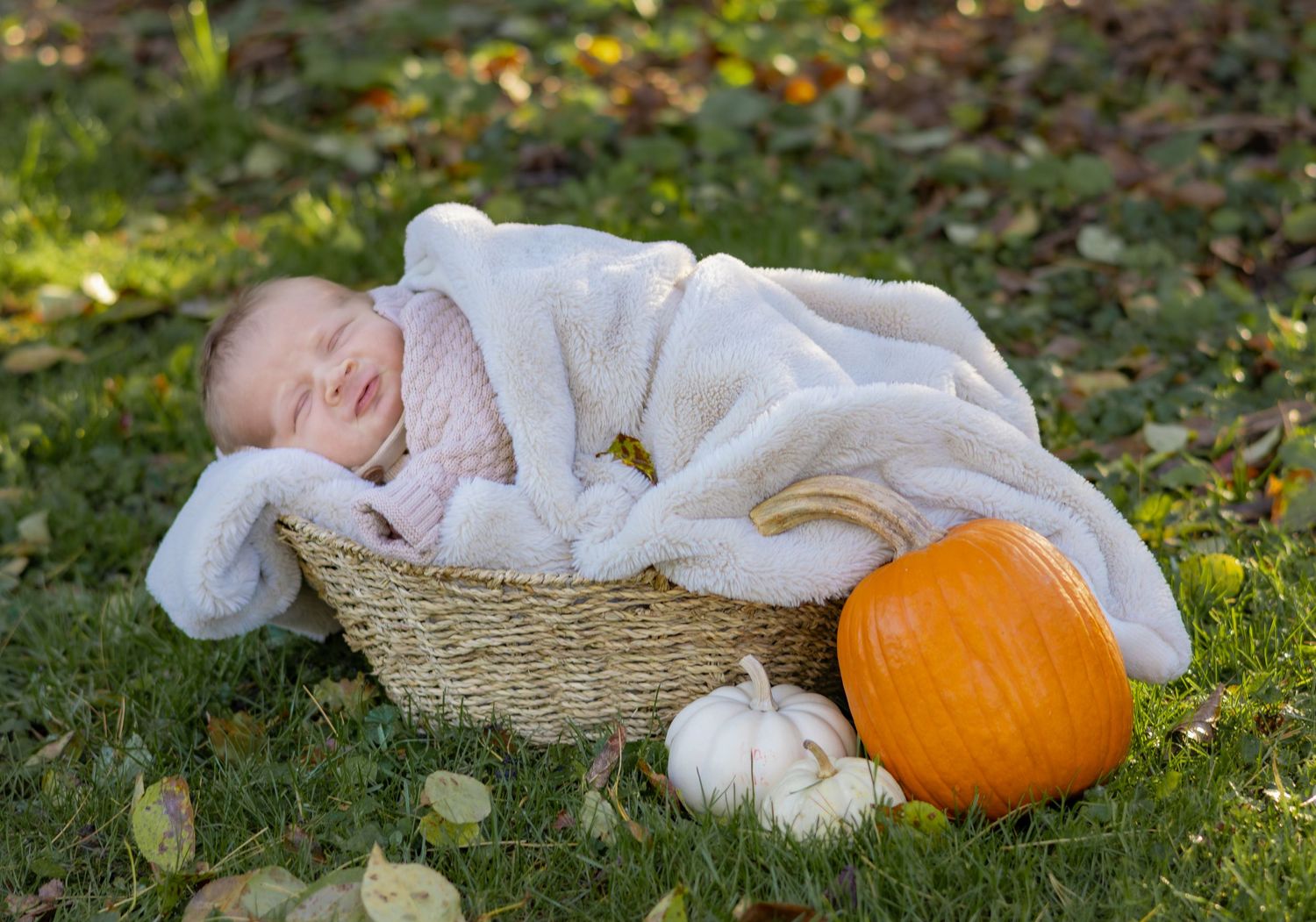 Orange pumpkin and white fabric arranged artistically on grass in autumn setting.