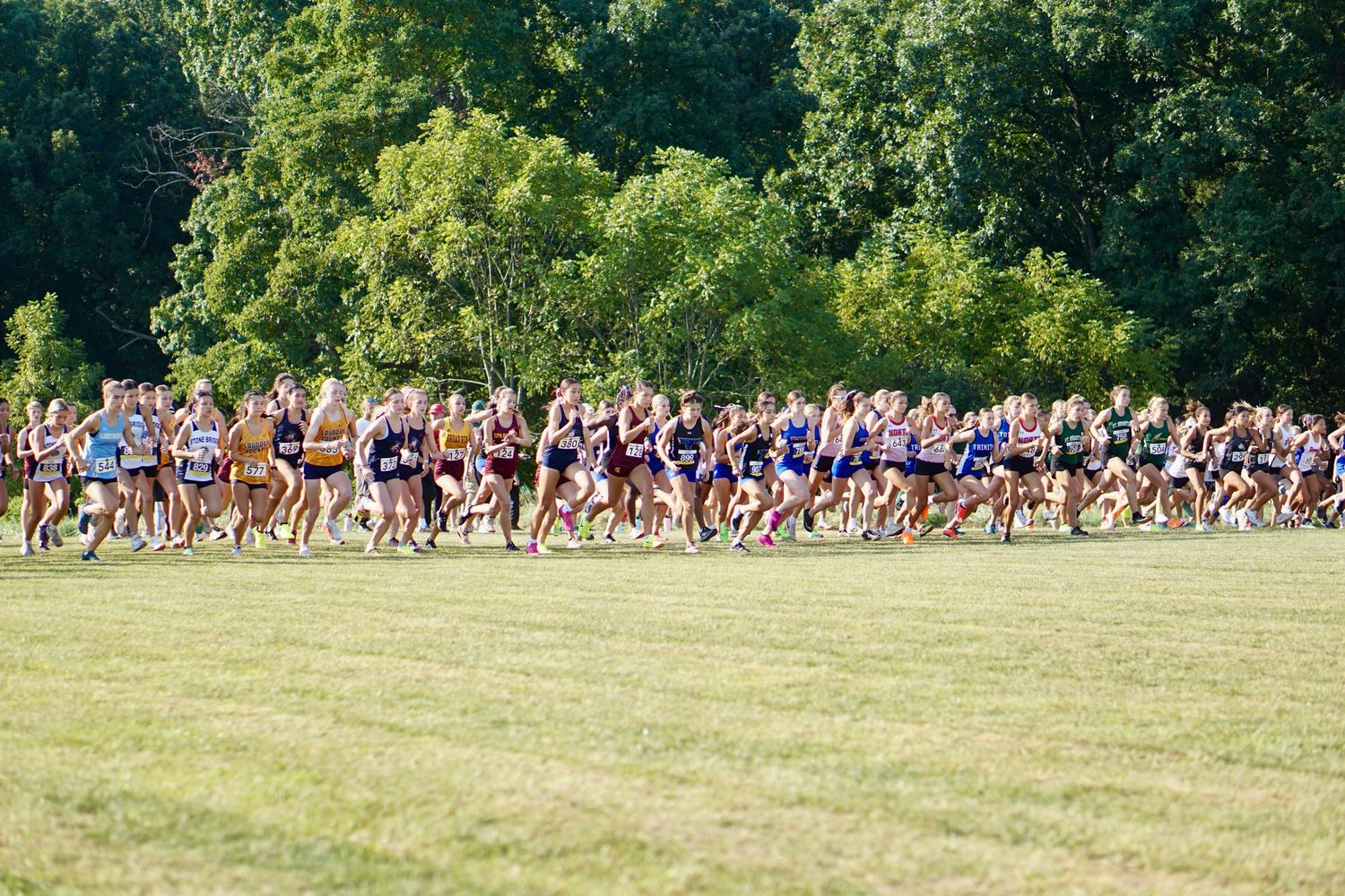 Woodgrove Invitational 2025