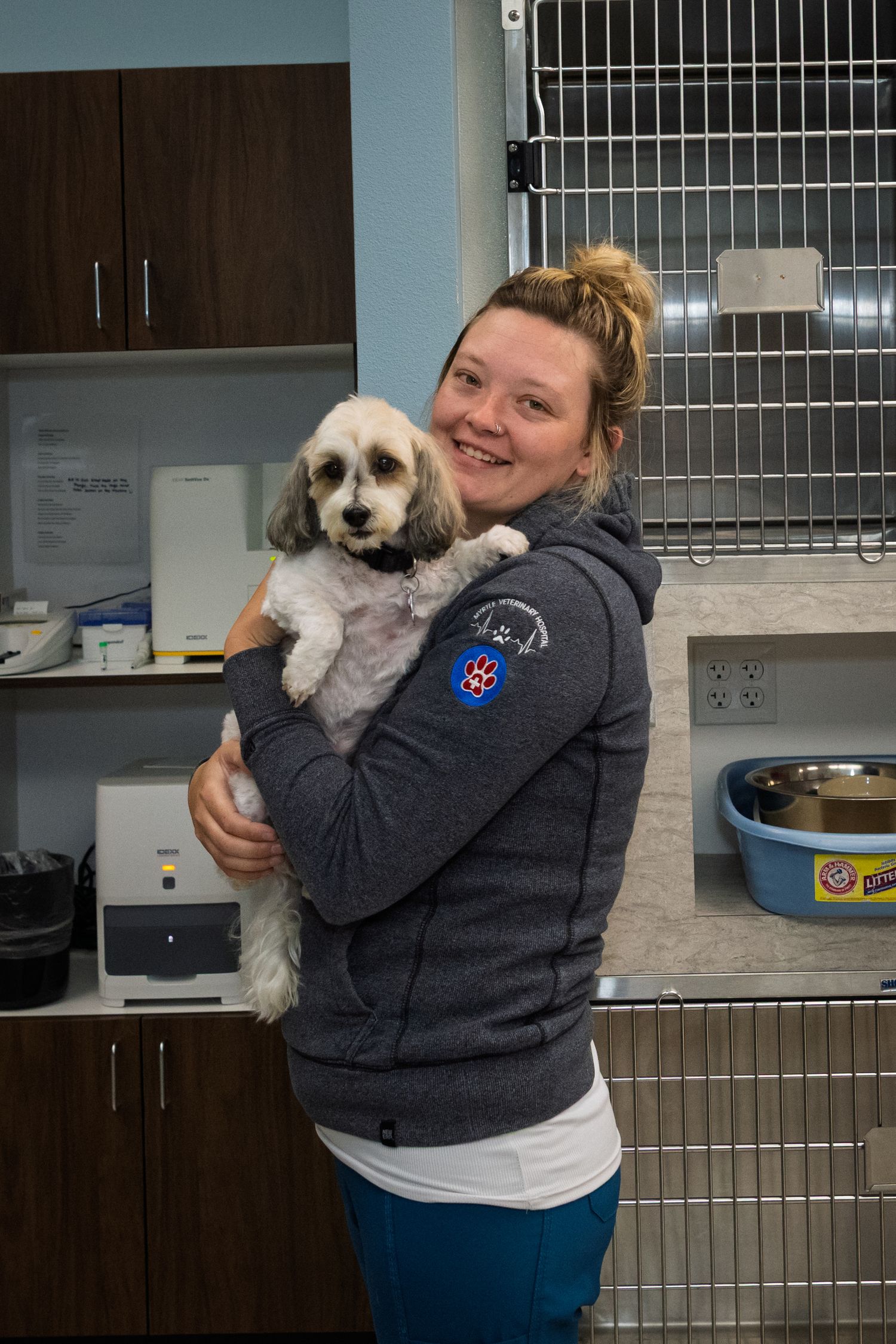 A small white fluffy dog being held and cuddled by someone wearing a gray sweater in what appears to be a veterinary clinic.