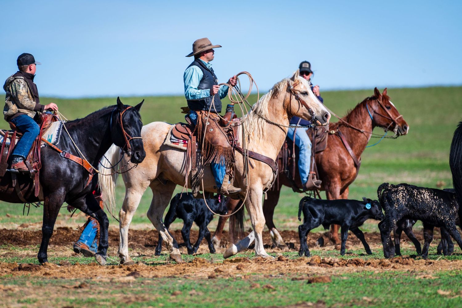 A line of horses and riders traverse across a scenic grassland landscape against a bright blue sky.