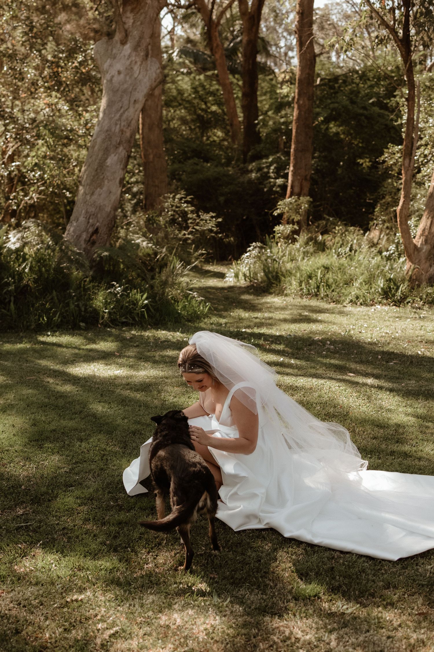 Bride in white gown and veil crouching on grass to pet a dark dog in a sunlit forest setting.