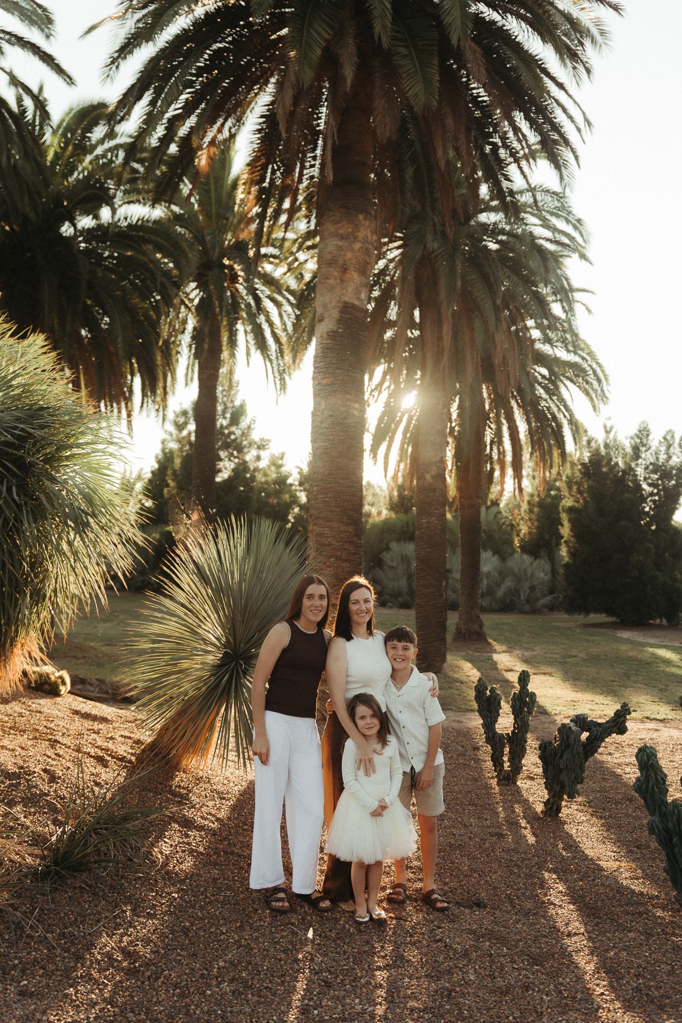 Family of four posing among tall palm trees at golden hour in a desert garden setting.