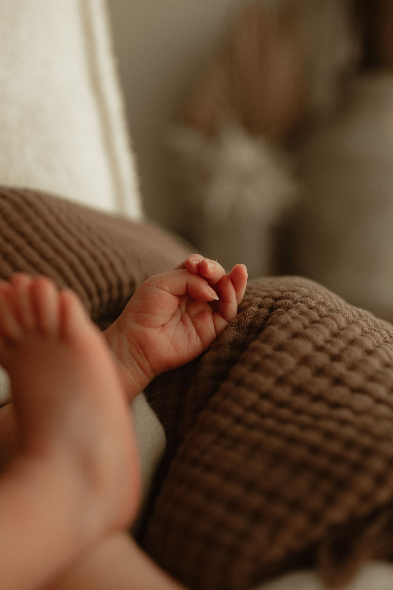 Close-up of a newborn baby's tiny hand and feet resting on a soft brown textured blanket.