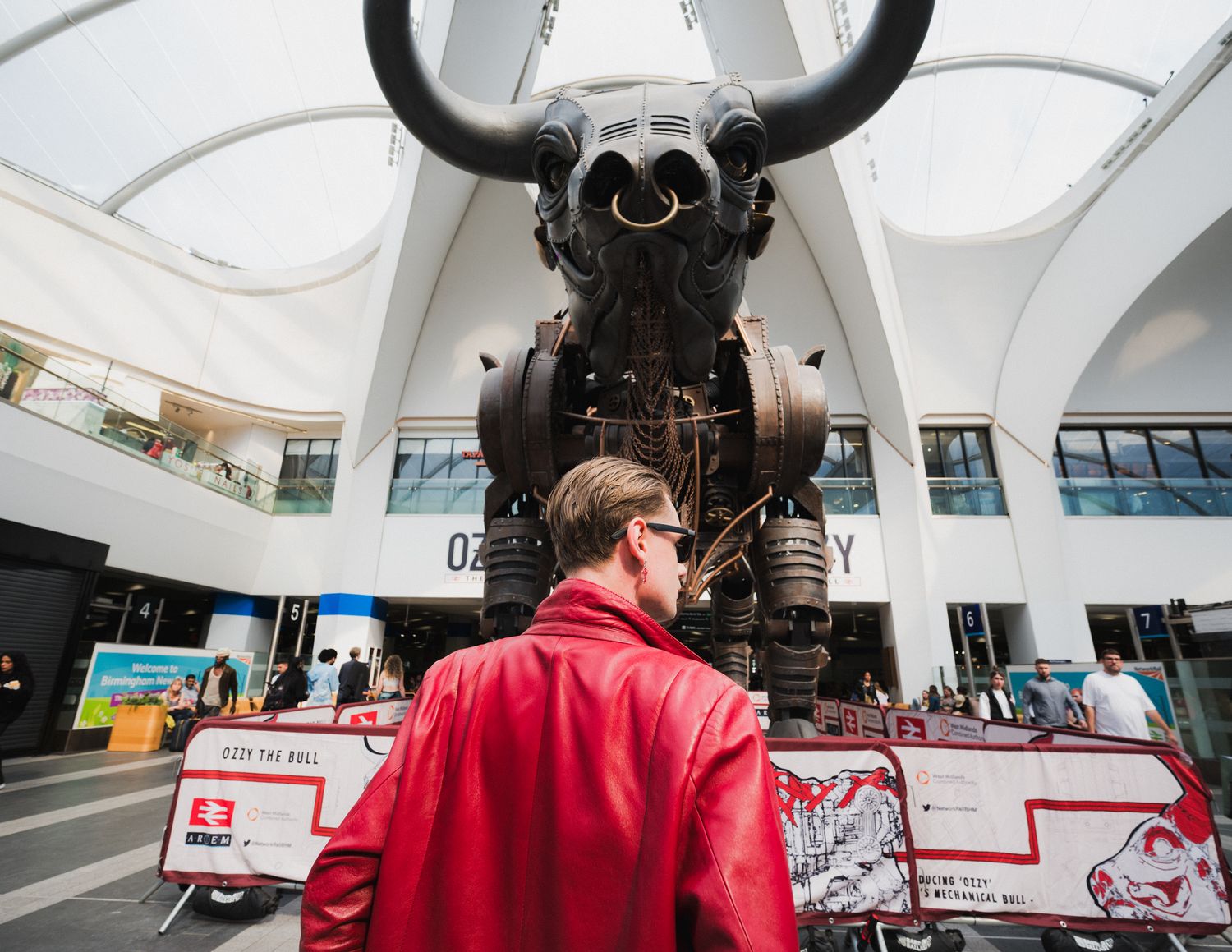 A display of bull horns mounted on white walls in a modern gallery space.