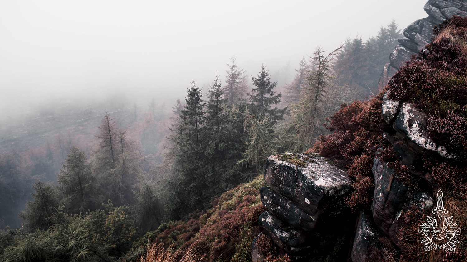 Foggy mountain landscape with evergreen trees and dramatic atmospheric conditions.