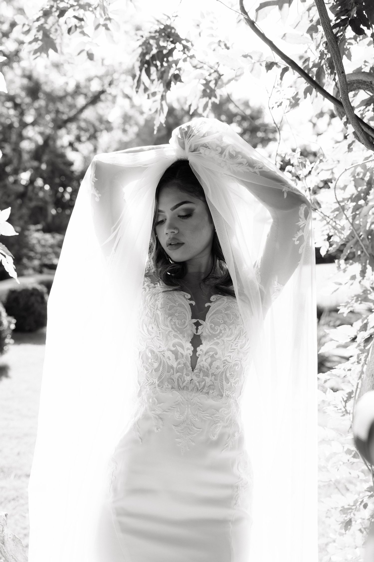 Black and white photo of a bride in lace gown holding veil above her head outdoors among trees.