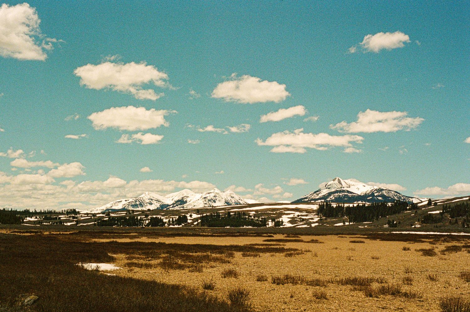 Snow-covered mountain range stretches across the horizon with grass fields in the foreground under blue skies.