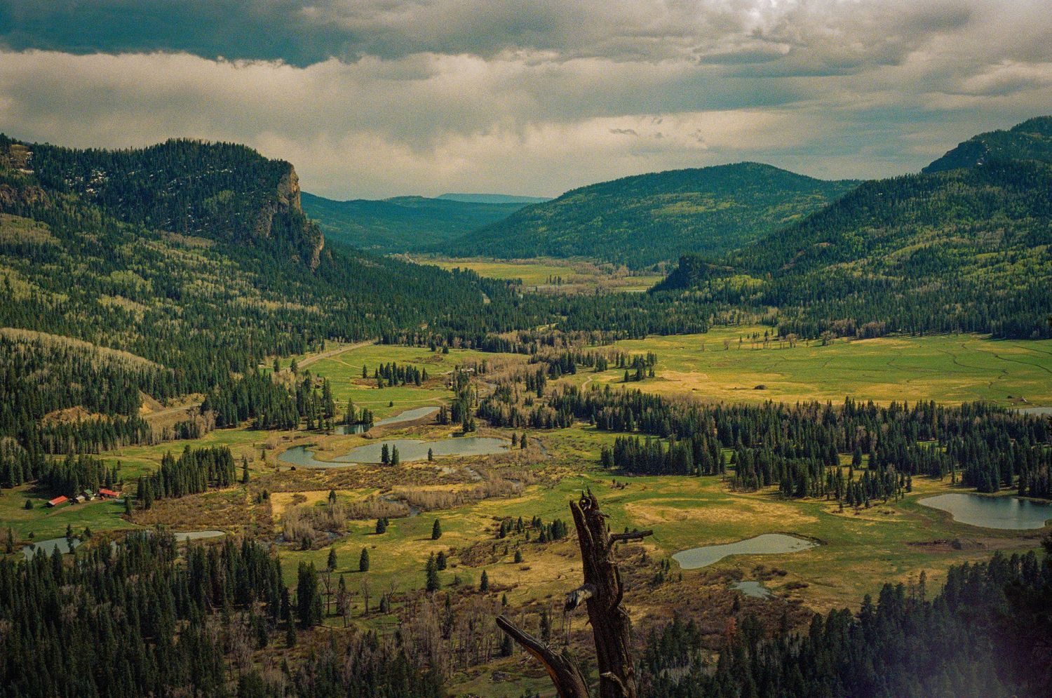 Scenic mountain valley with green meadows and forests surrounded by towering peaks under cloudy skies.