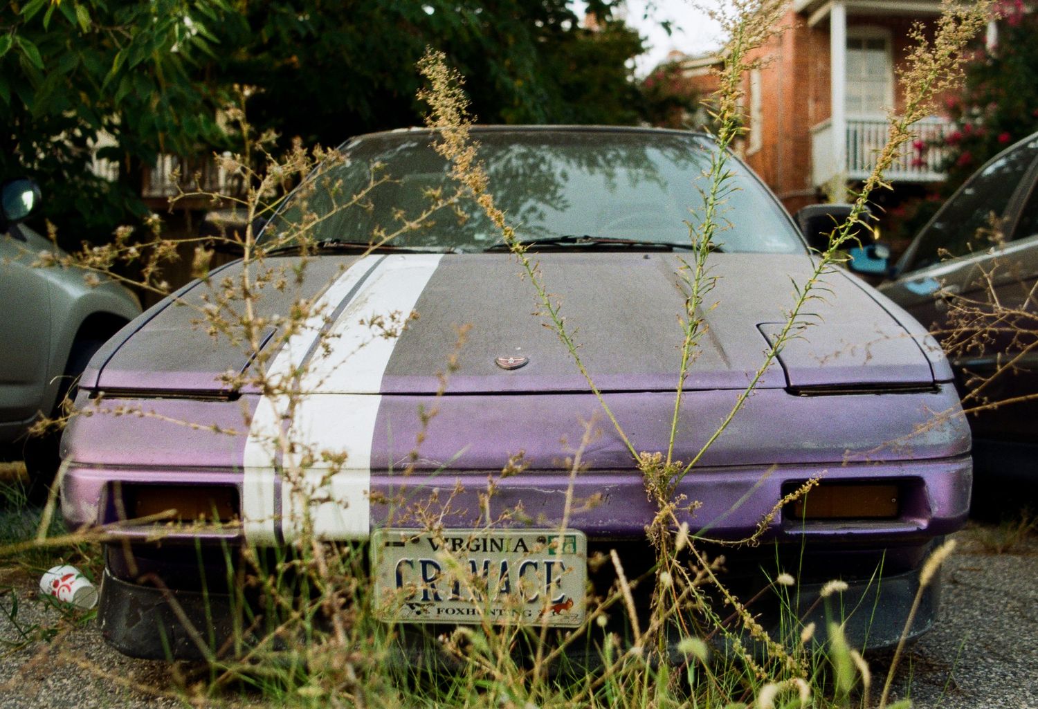 Abandoned purple car overgrown with weeds and plants in an outdoor setting.
