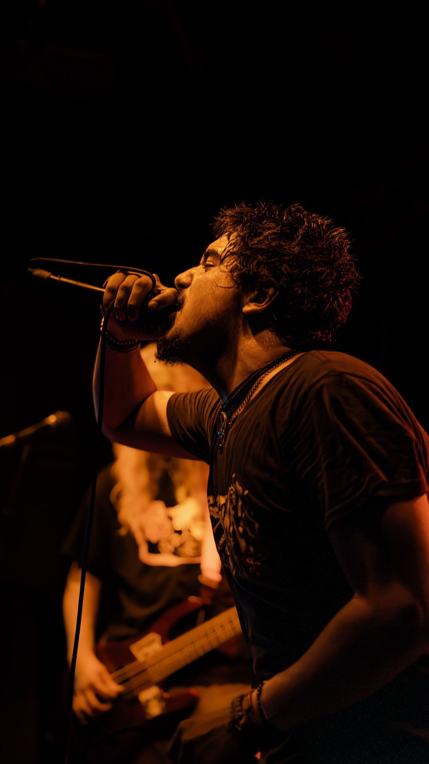 A silhouetted performer sings passionately into a microphone against a dark background in dramatic concert lighting.