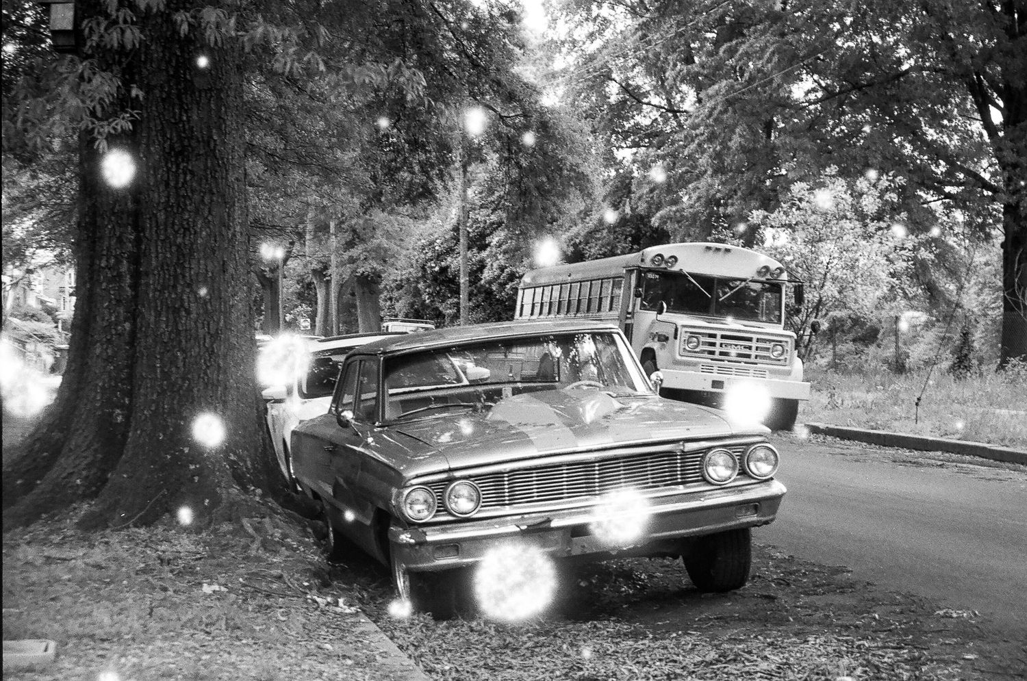 Vintage cars parked under trees at night with glowing street lamps.