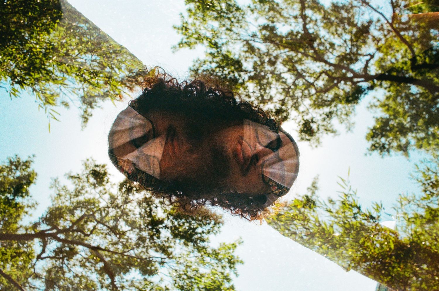 Looking up at tree branches through a circular frame against blue sky.