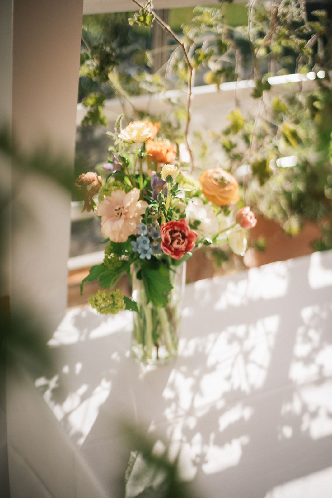 Soft-focus floral arrangement with peach roses casting delicate shadows in window light.